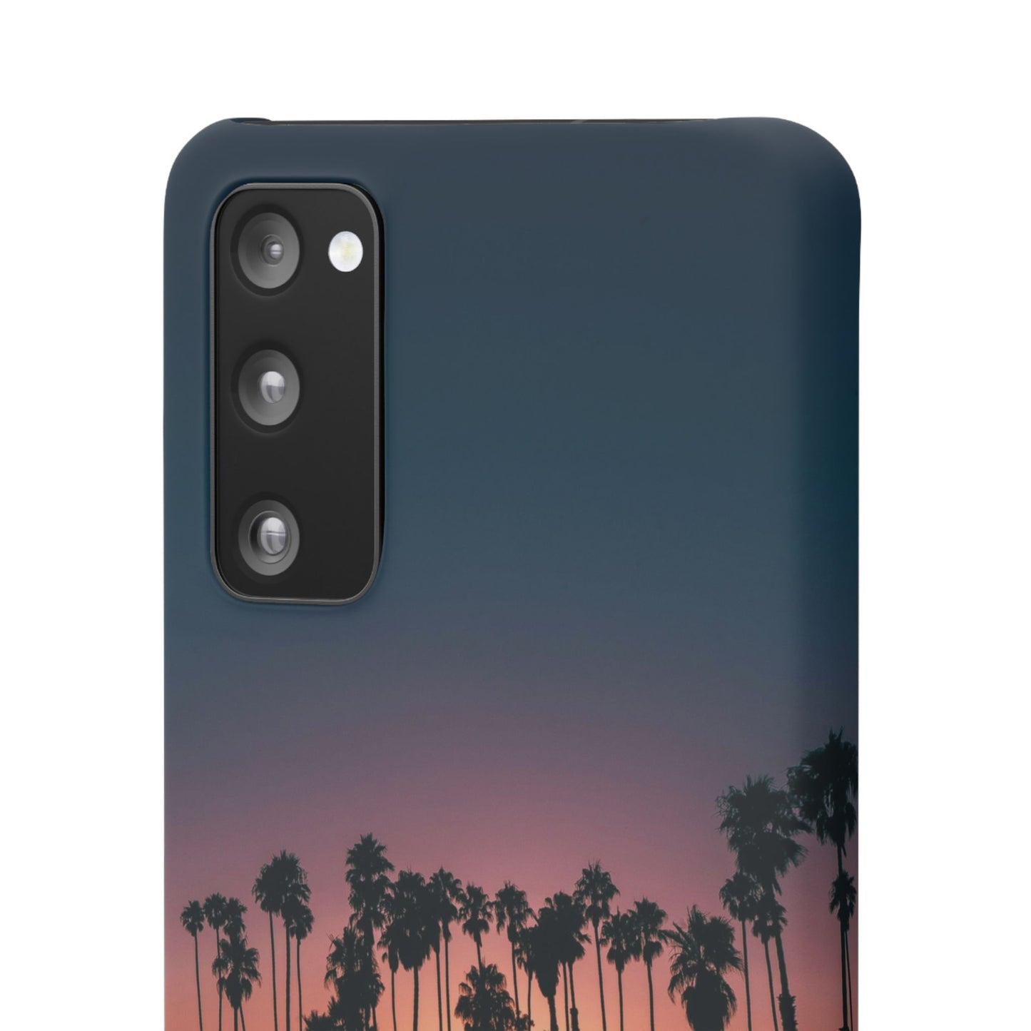 Tropical Sunset Cajasol - Vibrant Palm Tree