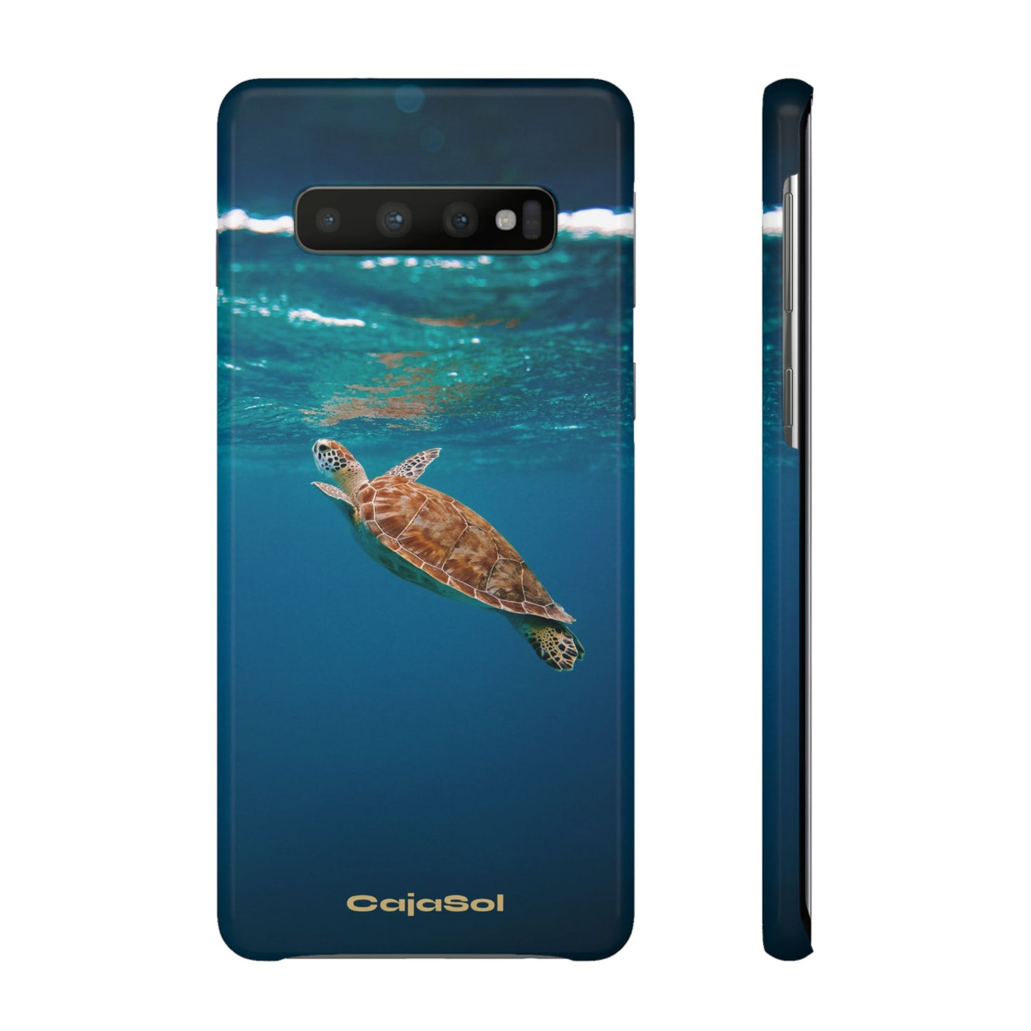 Sea Turtle Cajasol - Perfect for Beach Lovers