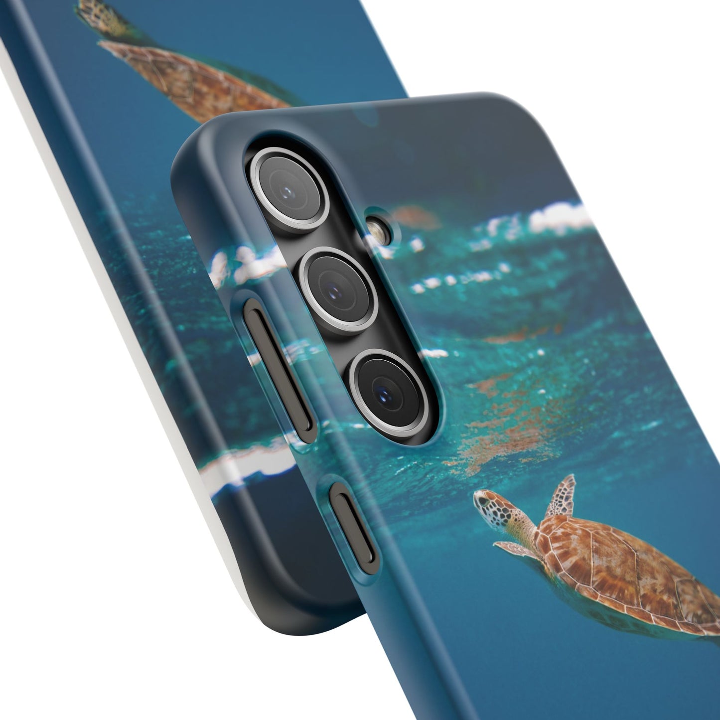 Sea Turtle Cajasol - Perfect for Beach Lovers