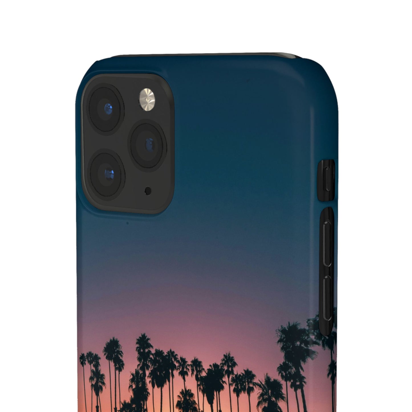 Tropical Sunset Cajasol - Vibrant Palm Tree