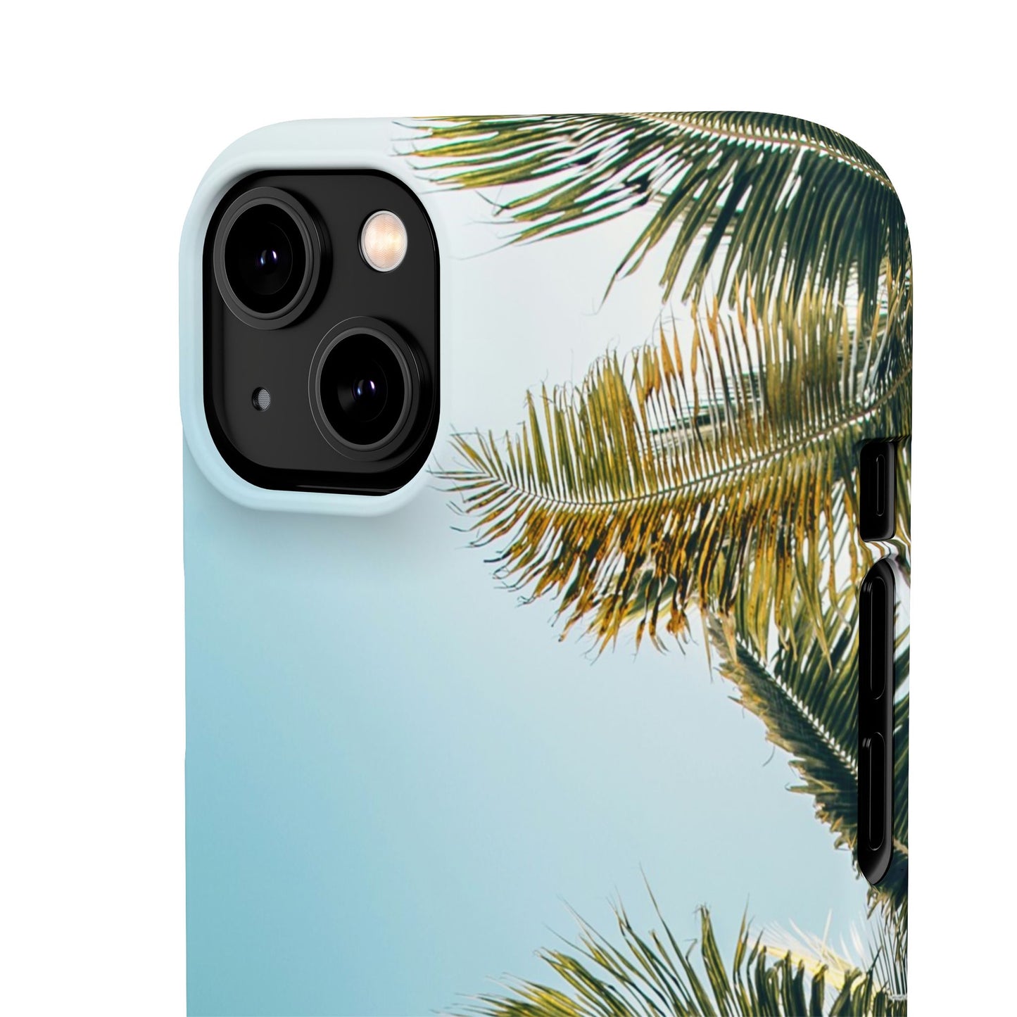 Tropical Palm Cajasol – Summer Vibes for Beach Lovers