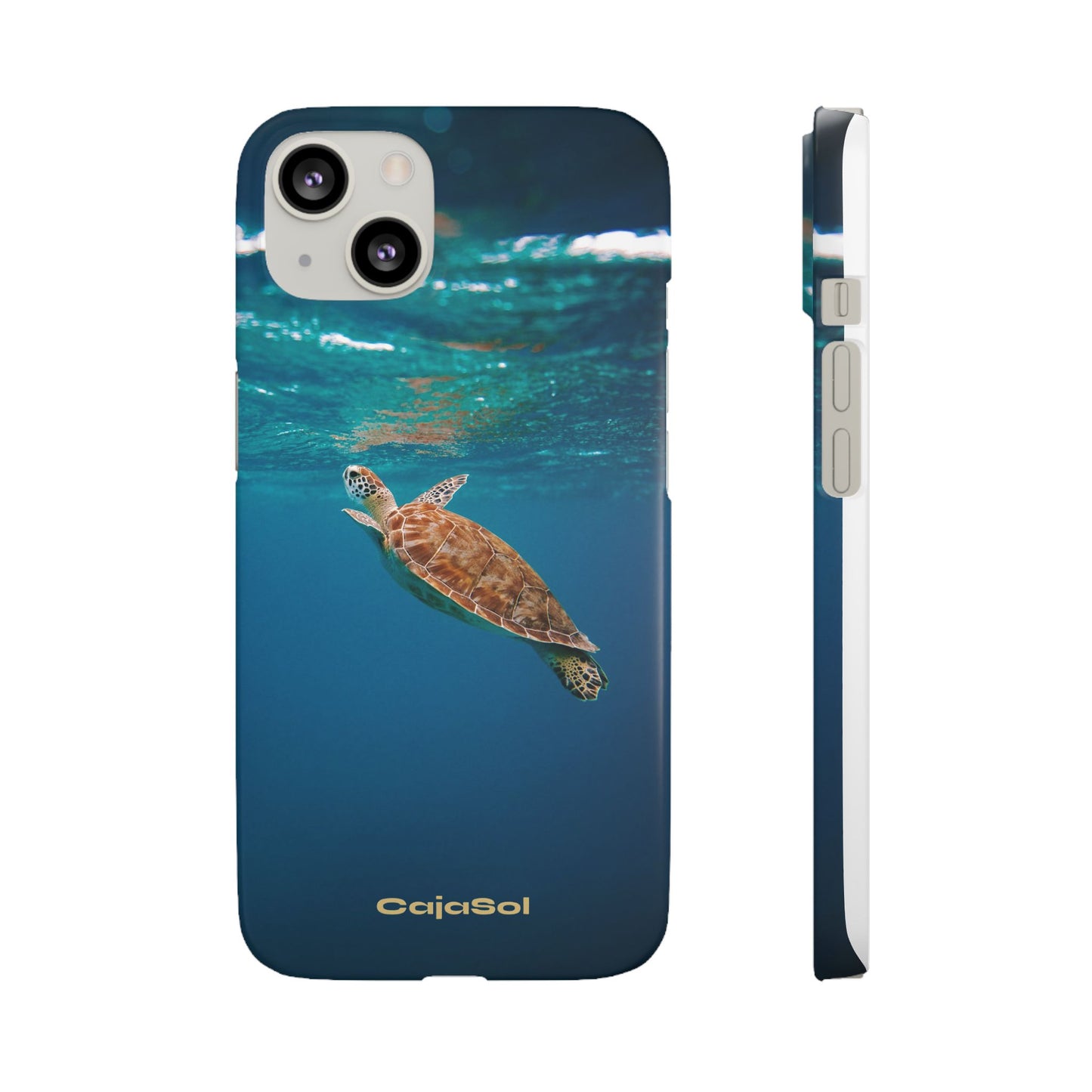 Sea Turtle Cajasol - Perfect for Beach Lovers