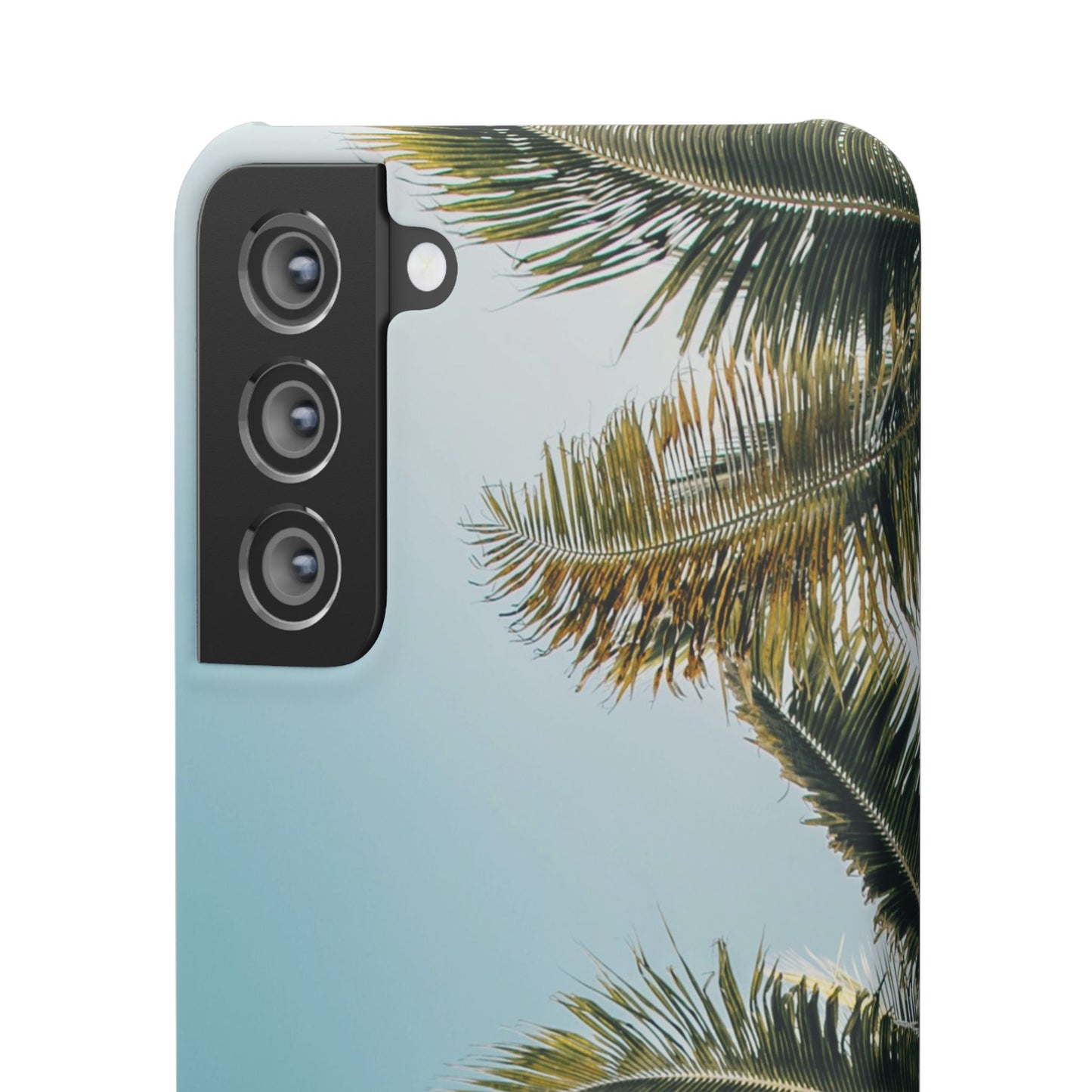 Tropical Palm Cajasol – Summer Vibes for Beach Lovers