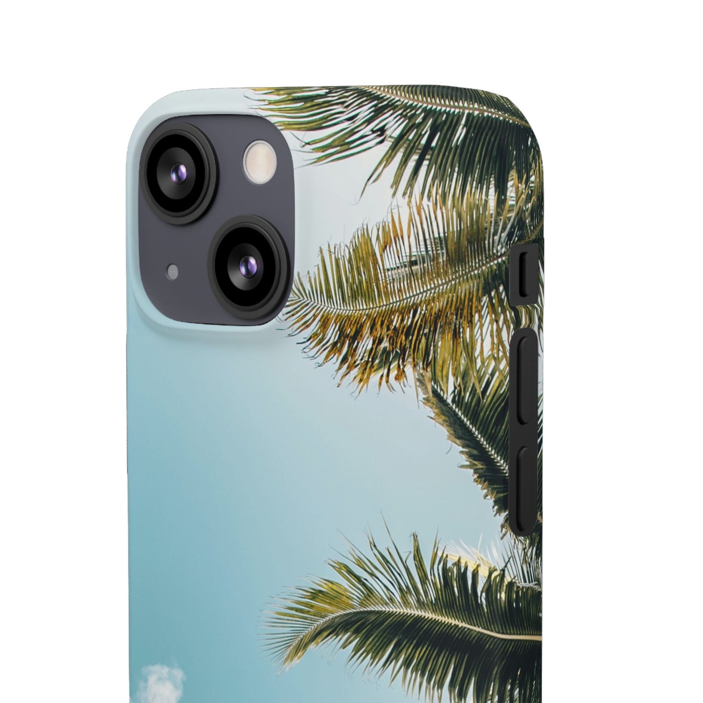 Tropical Palm Cajasol – Summer Vibes for Beach Lovers