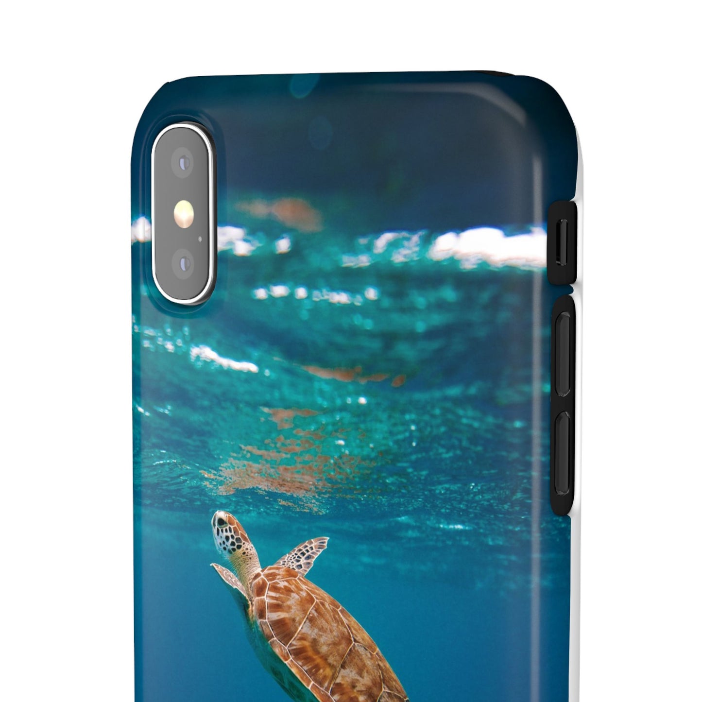Sea Turtle Cajasol - Perfect for Beach Lovers