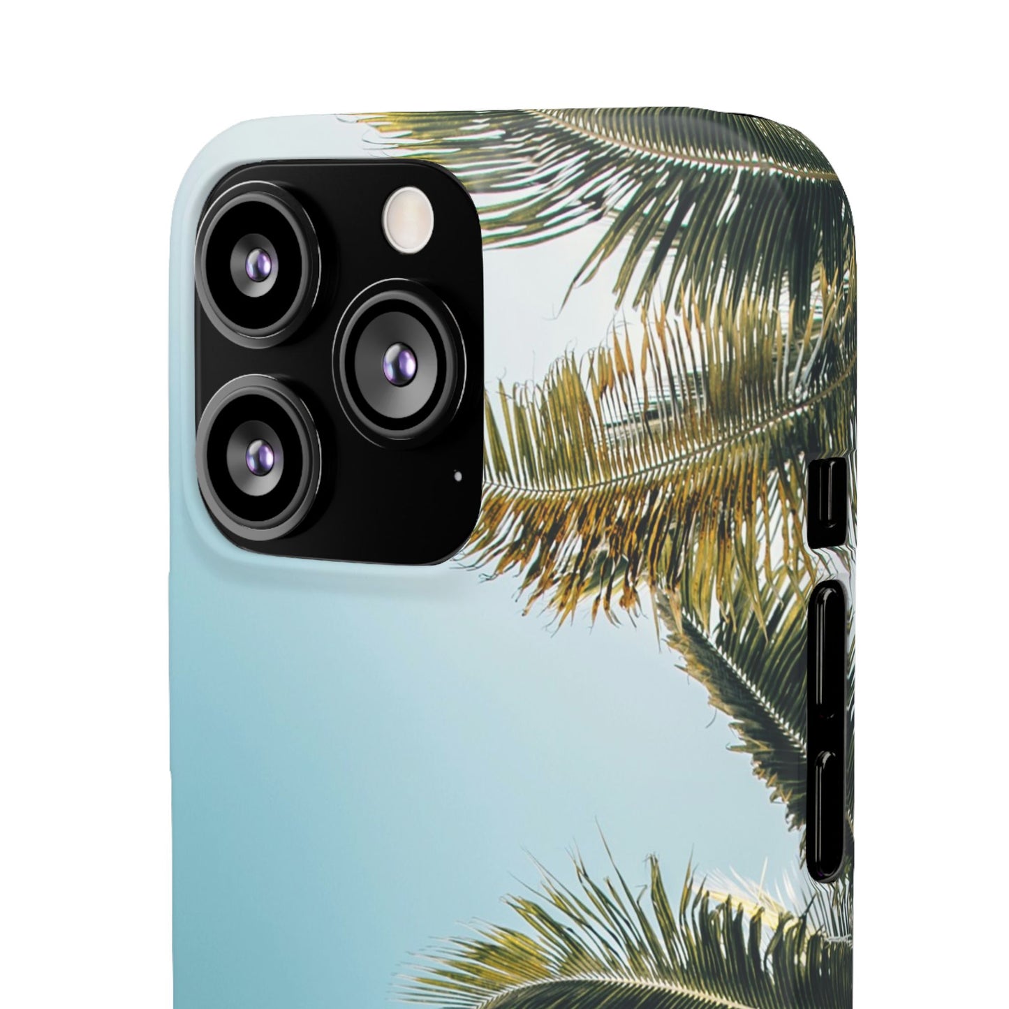 Tropical Palm Cajasol – Summer Vibes for Beach Lovers