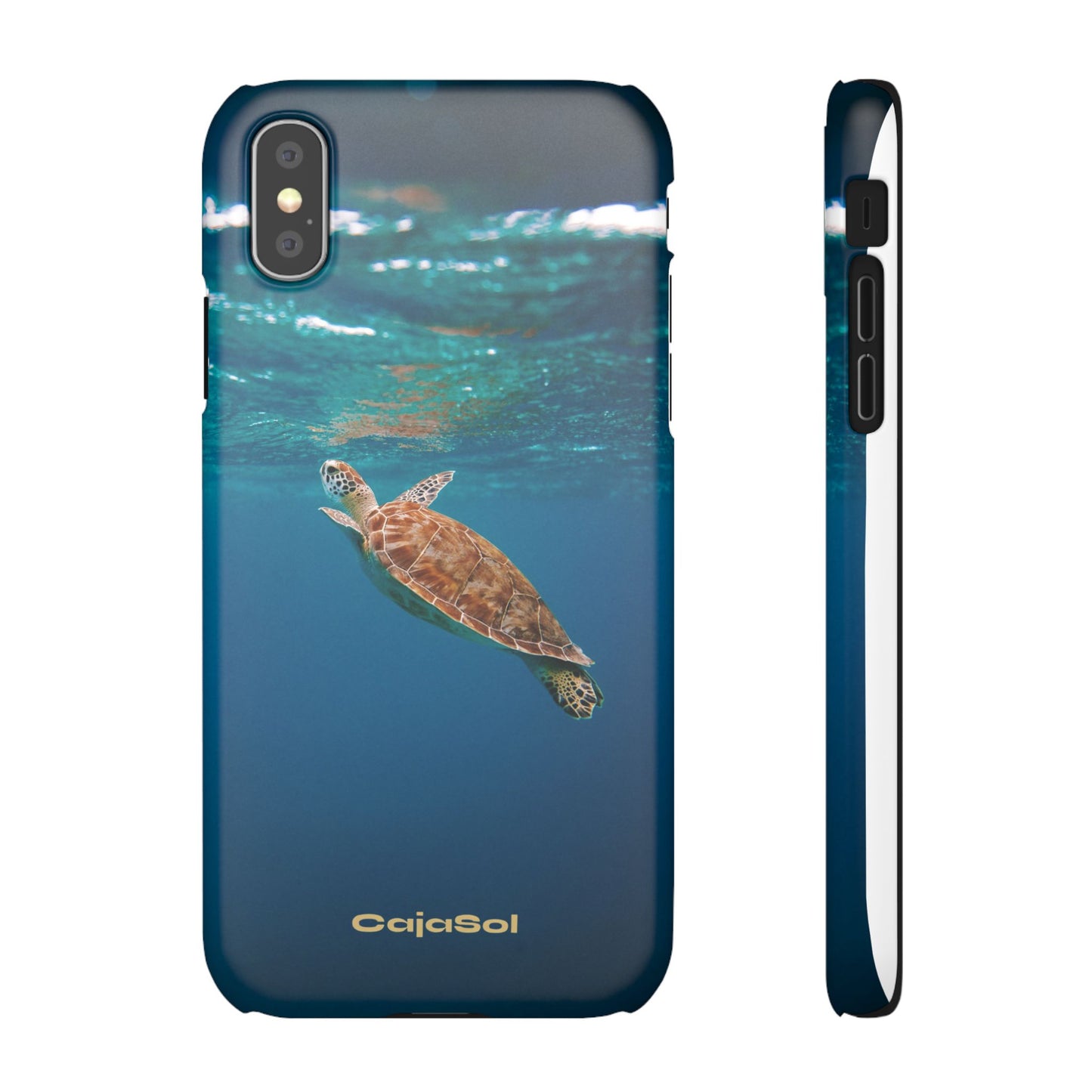 Sea Turtle Cajasol - Perfect for Beach Lovers