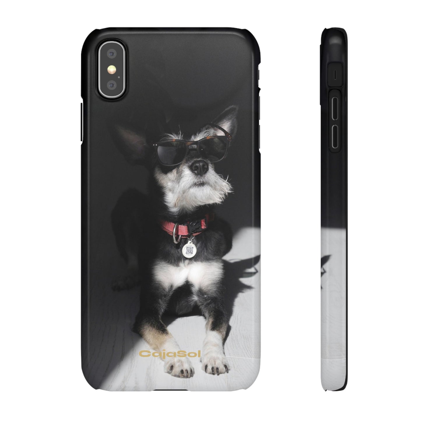 Cool Dog Cajasol - Stylish Pet