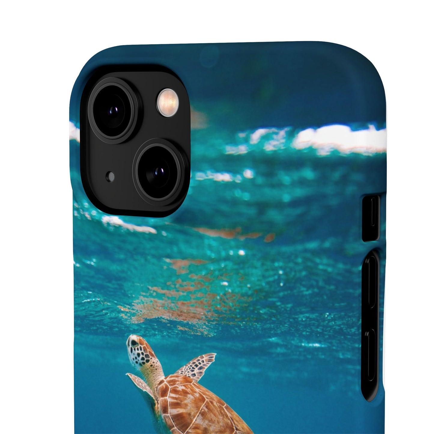 Sea Turtle Cajasol - Perfect for Beach Lovers