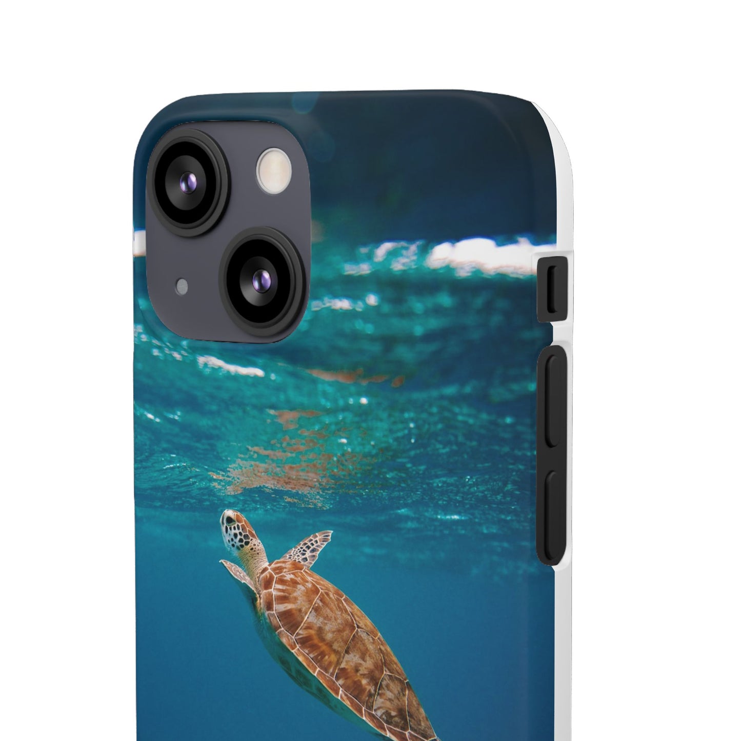 Sea Turtle Cajasol - Perfect for Beach Lovers