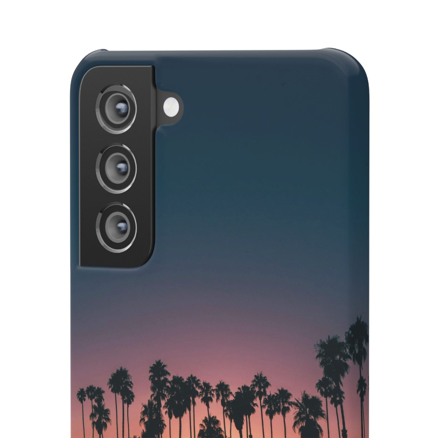 Tropical Sunset Cajasol - Vibrant Palm Tree