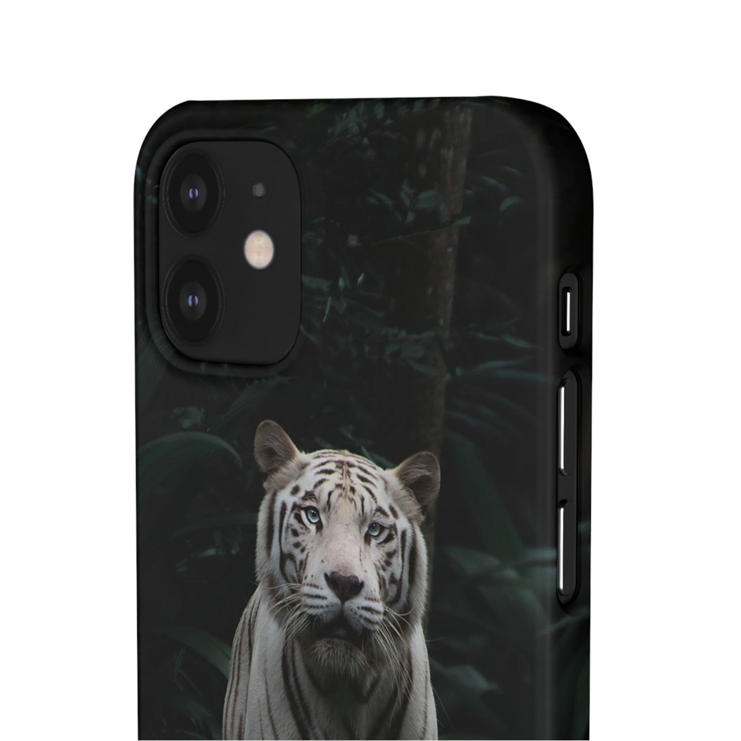 Majestic White Tiger Cajasol - Elegant & Protective for Wildlife Lovers
