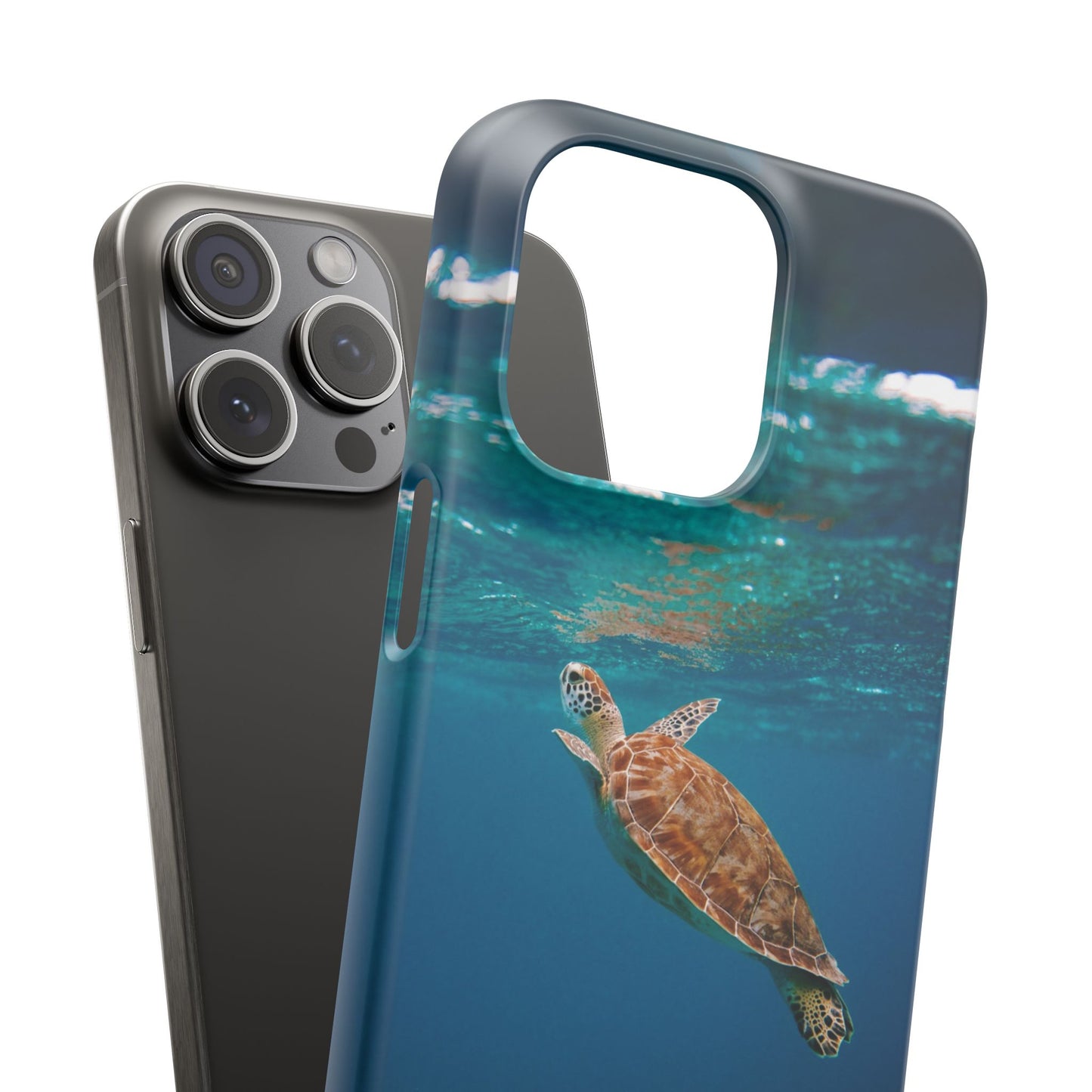 Sea Turtle Cajasol - Perfect for Beach Lovers