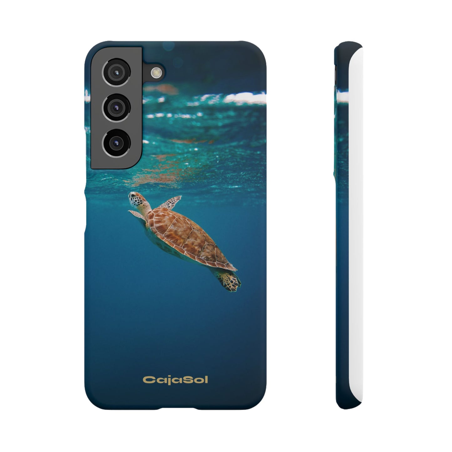 Sea Turtle Cajasol - Perfect for Beach Lovers