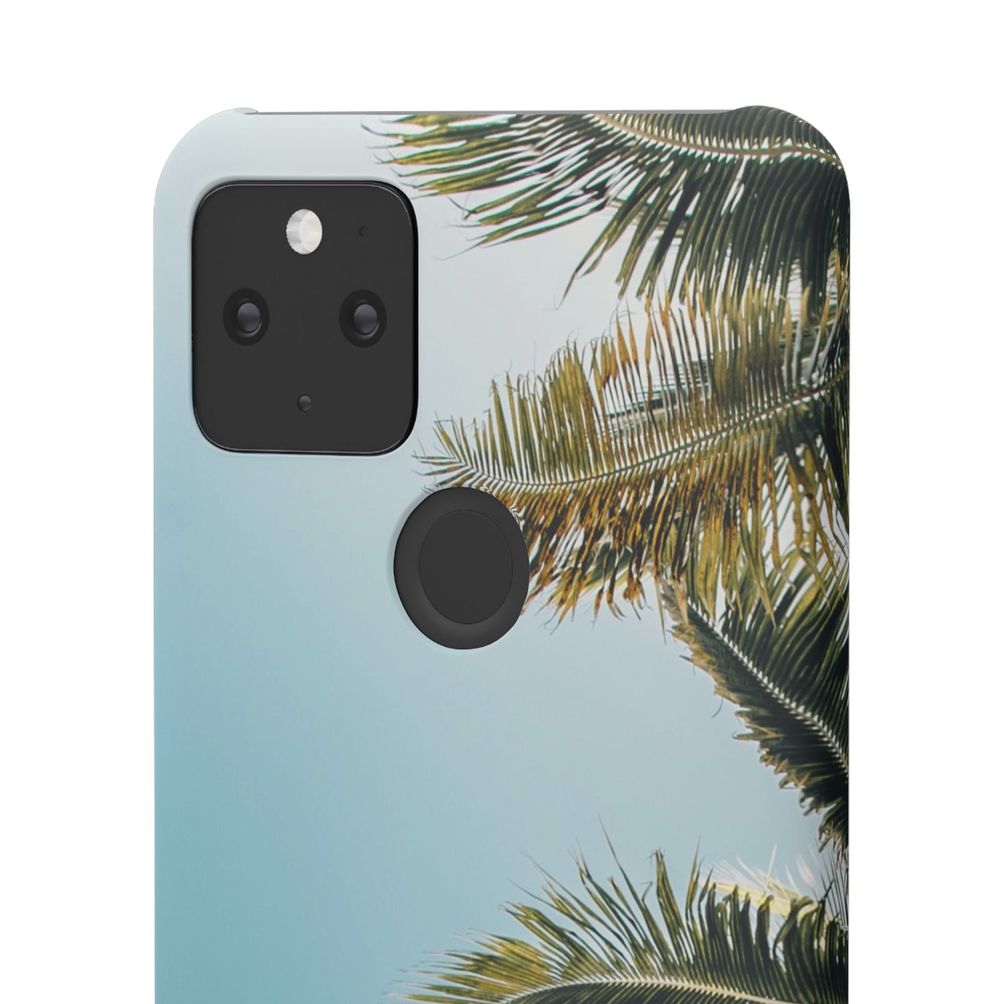 Tropical Palm Cajasol – Summer Vibes for Beach Lovers