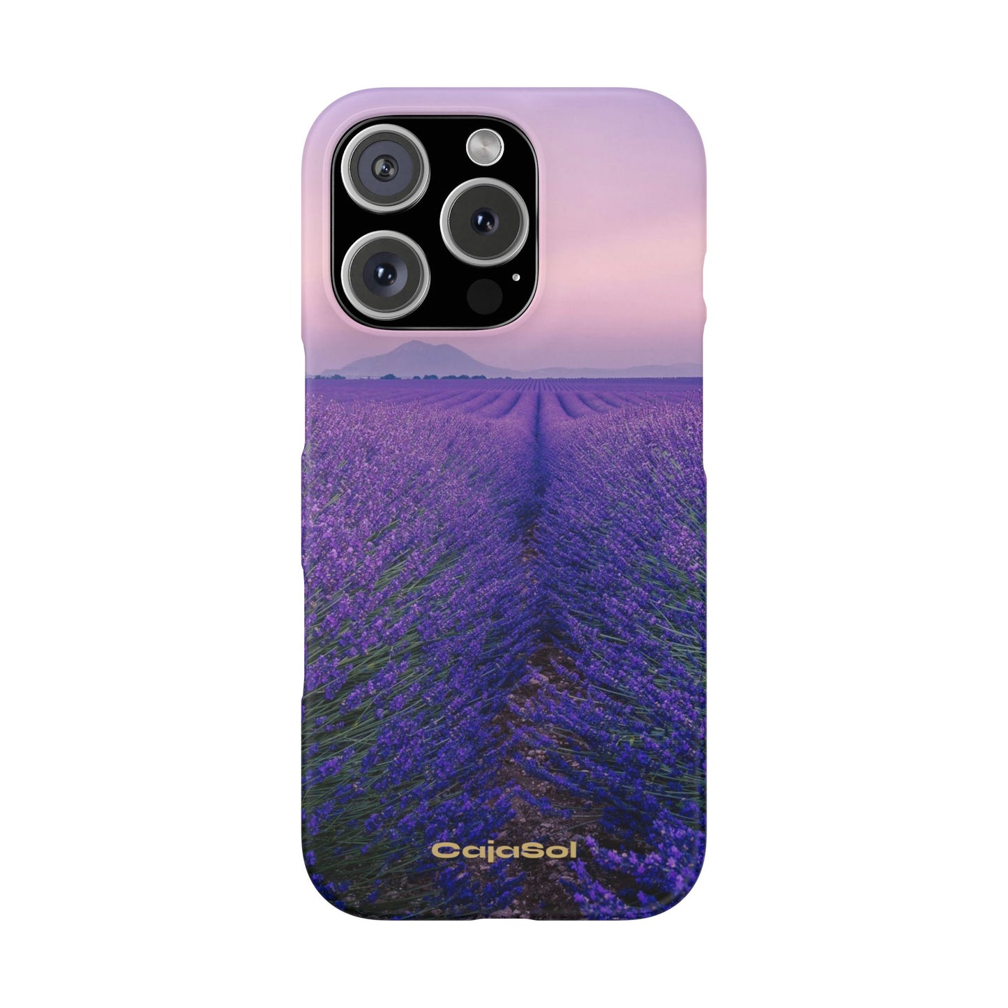 Lavender Fields Cajasol - A Floral Touch for Nature Lovers