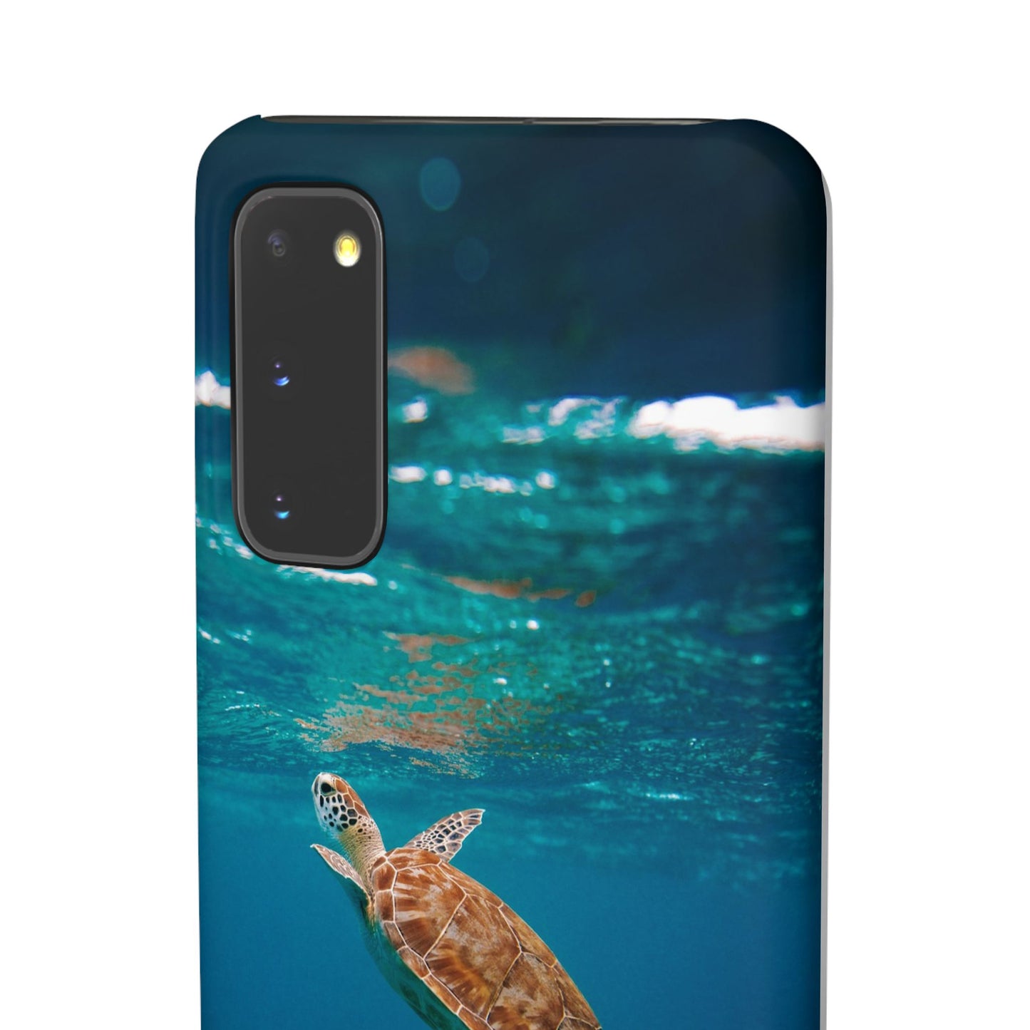 Sea Turtle Cajasol - Perfect for Beach Lovers