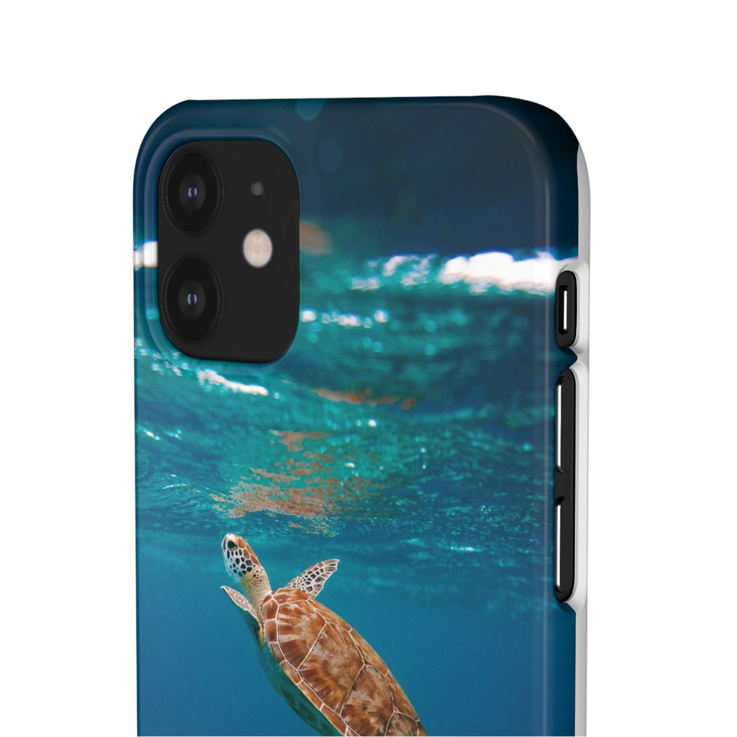 Sea Turtle Cajasol - Perfect for Beach Lovers