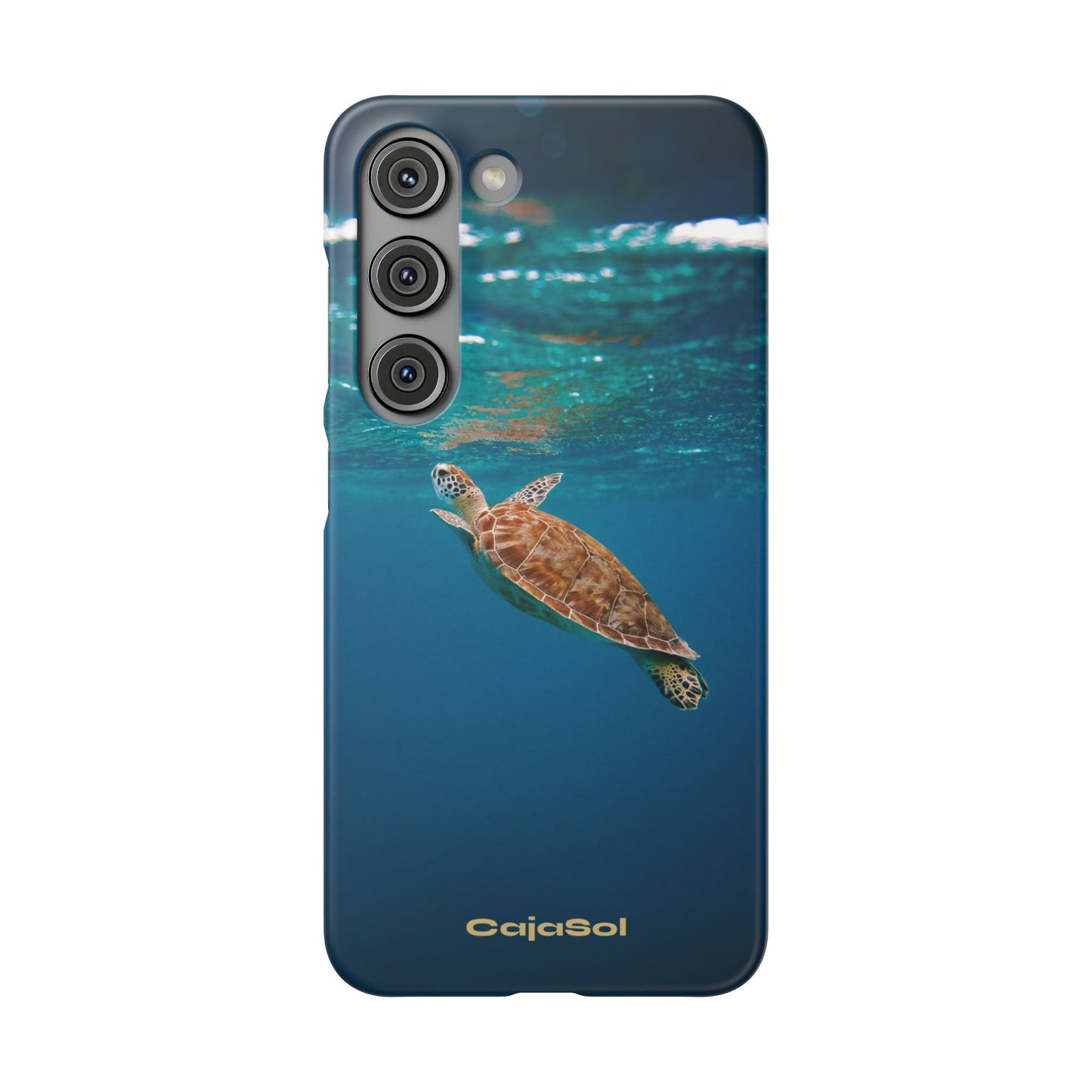 Sea Turtle Cajasol - Perfect for Beach Lovers