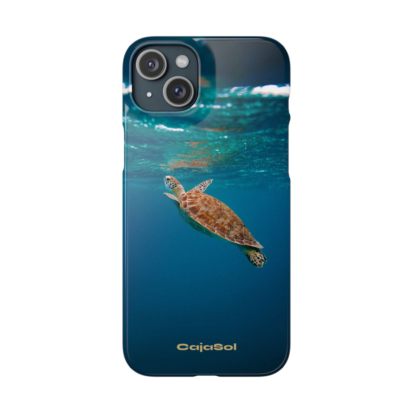 Sea Turtle Cajasol - Perfect for Beach Lovers