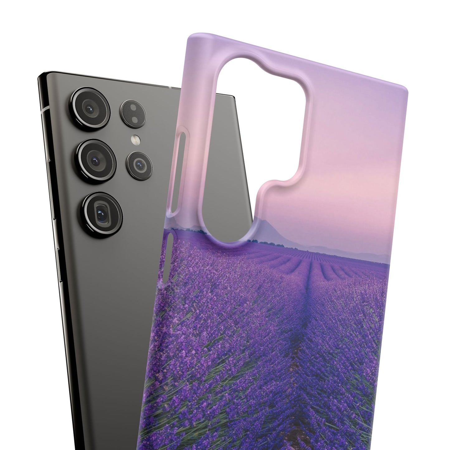 Lavender Fields Cajasol - A Floral Touch for Nature Lovers