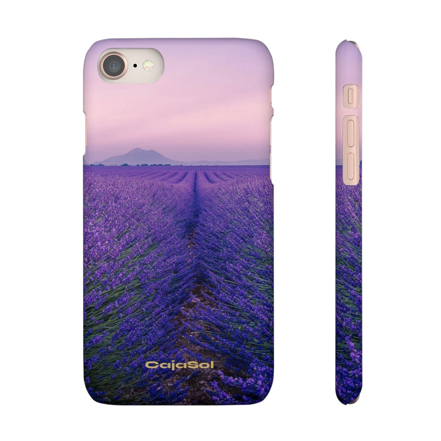 Lavender Fields Cajasol - A Floral Touch for Nature Lovers