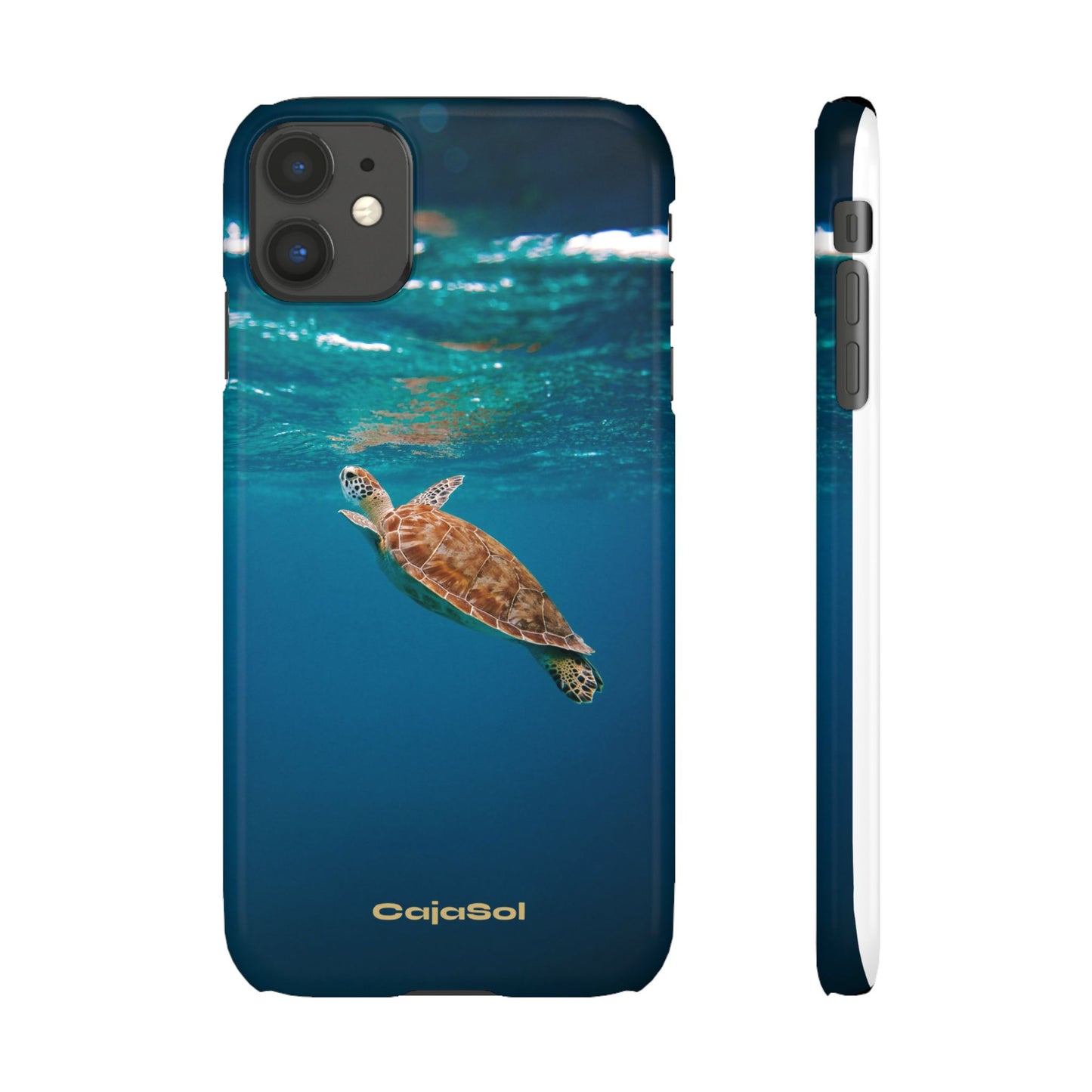 Sea Turtle Cajasol - Perfect for Beach Lovers