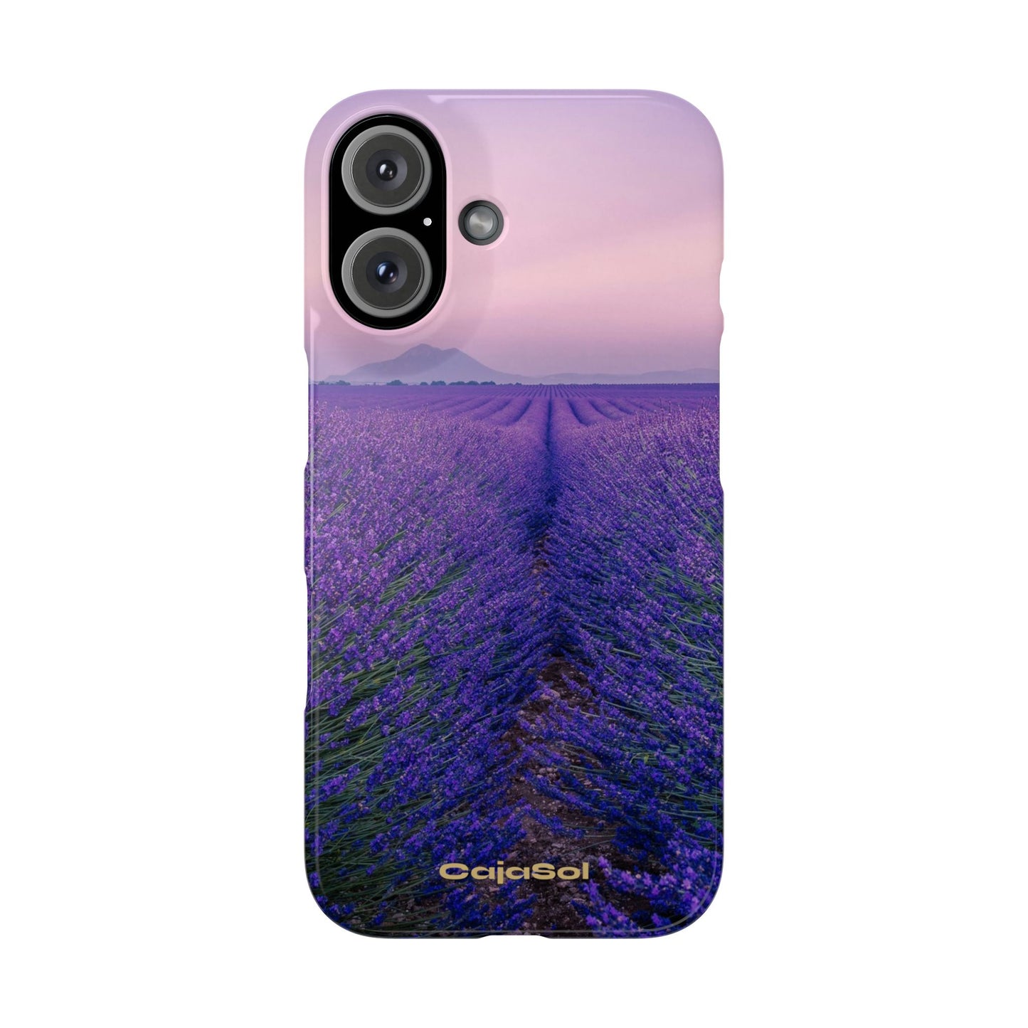Lavender Fields Cajasol - A Floral Touch for Nature Lovers