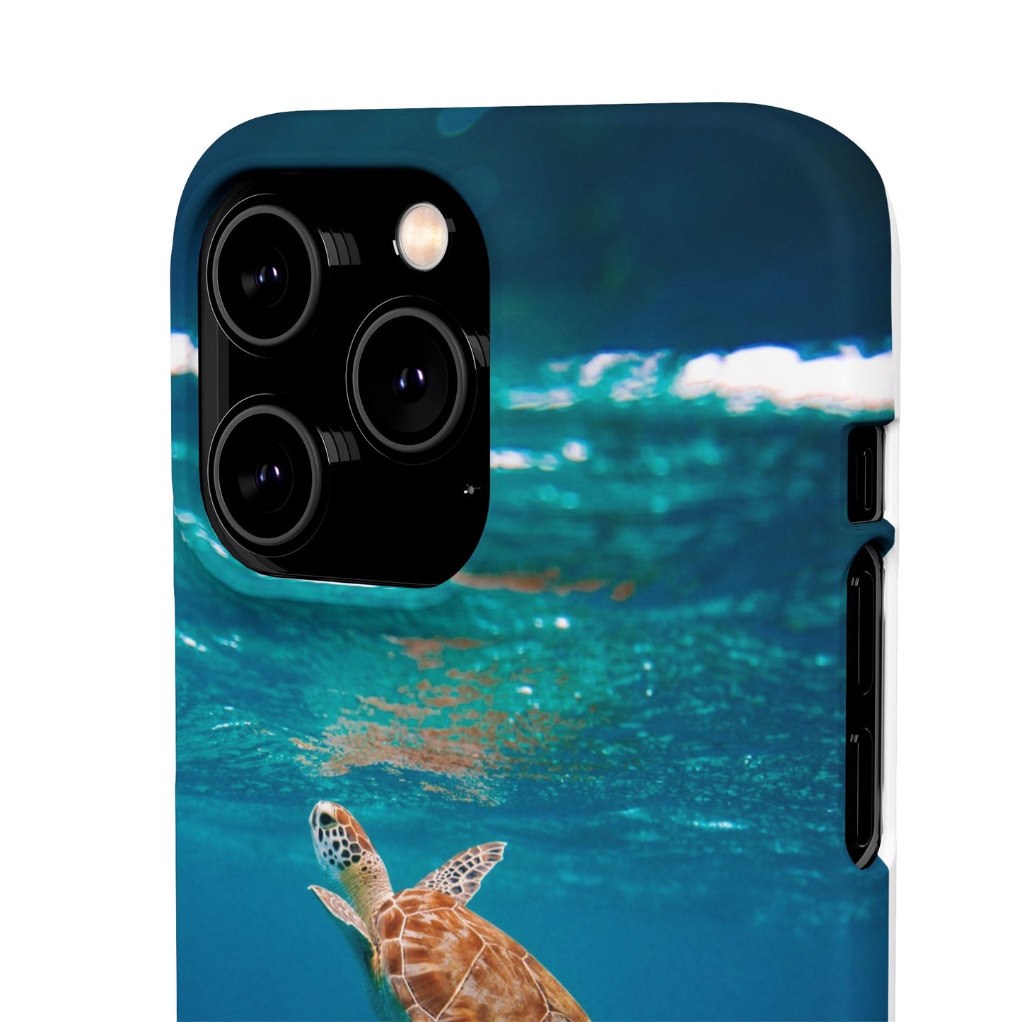 Sea Turtle Cajasol - Perfect for Beach Lovers