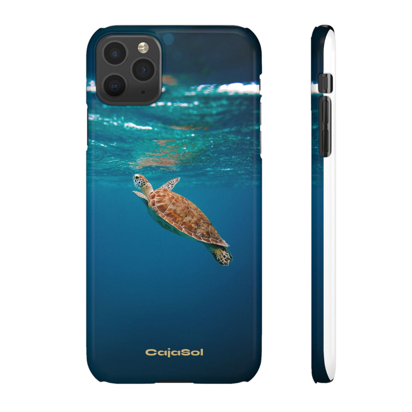 Sea Turtle Cajasol - Perfect for Beach Lovers