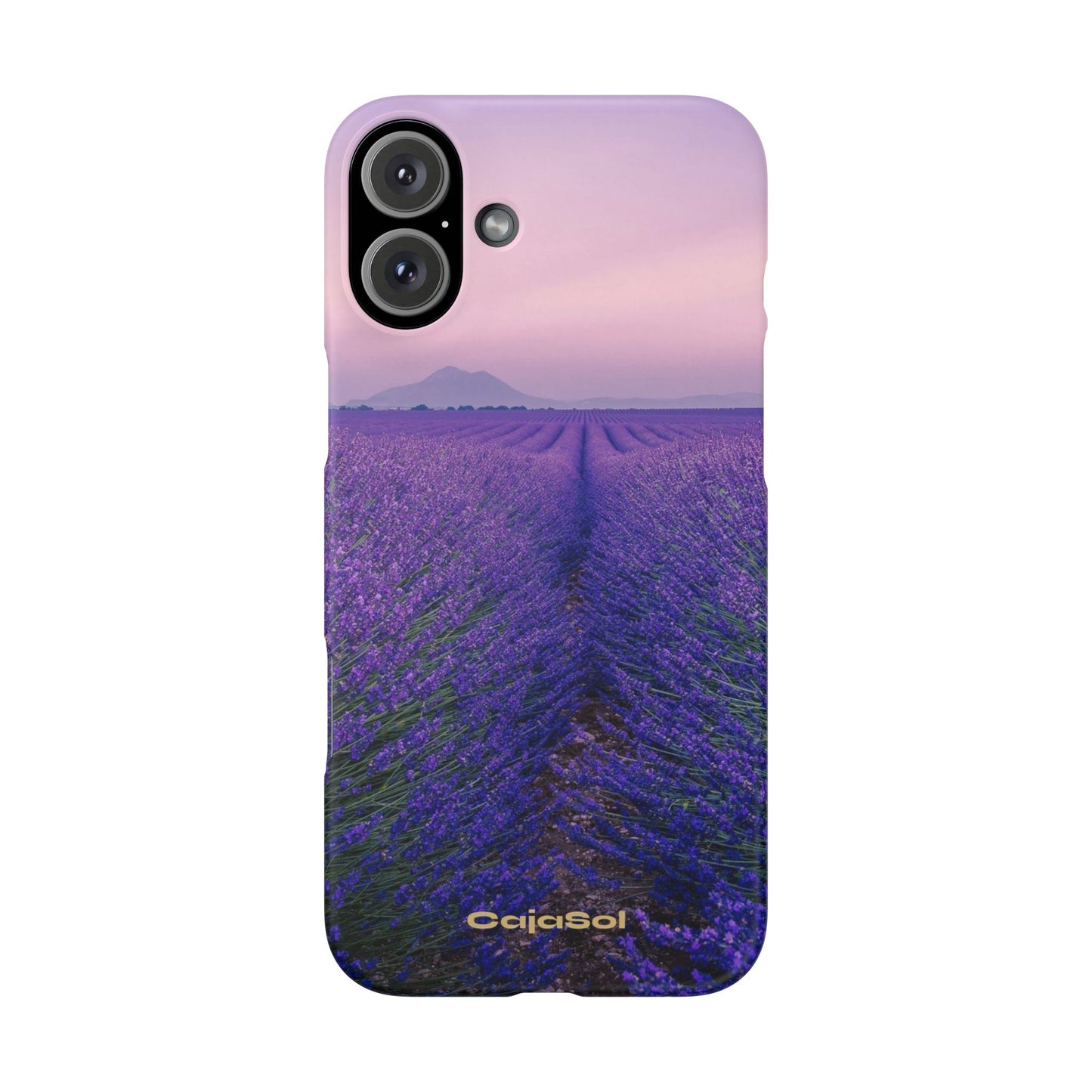 Lavender Fields Cajasol - A Floral Touch for Nature Lovers
