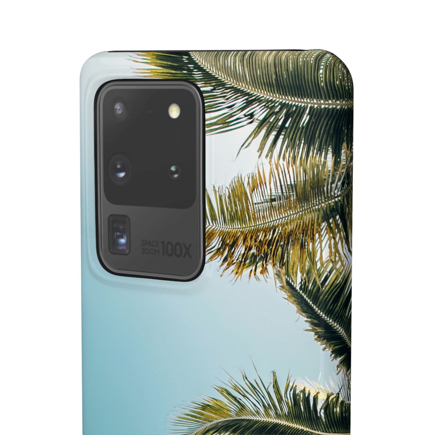 Tropical Palm Cajasol – Summer Vibes for Beach Lovers
