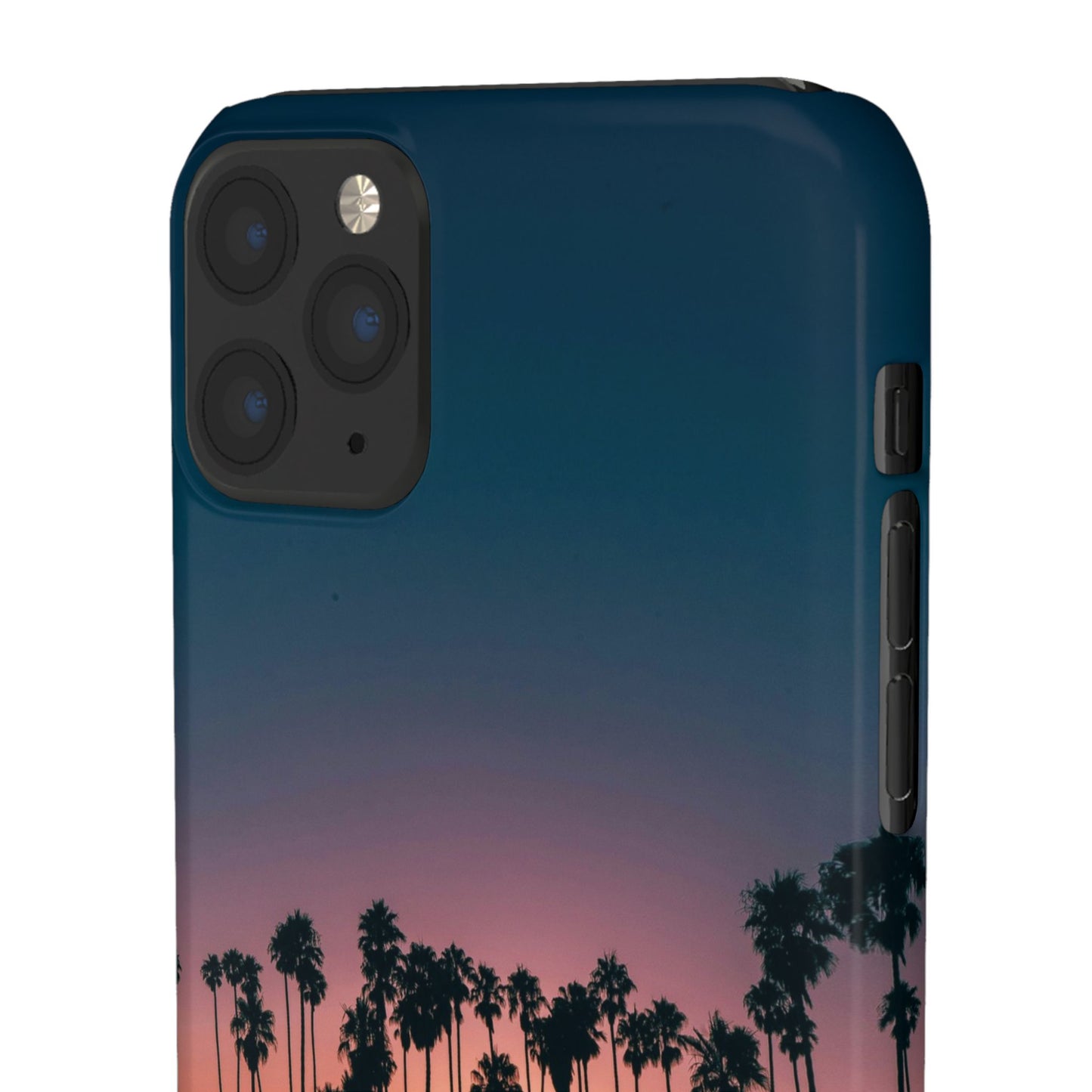 Tropical Sunset Cajasol - Vibrant Palm Tree