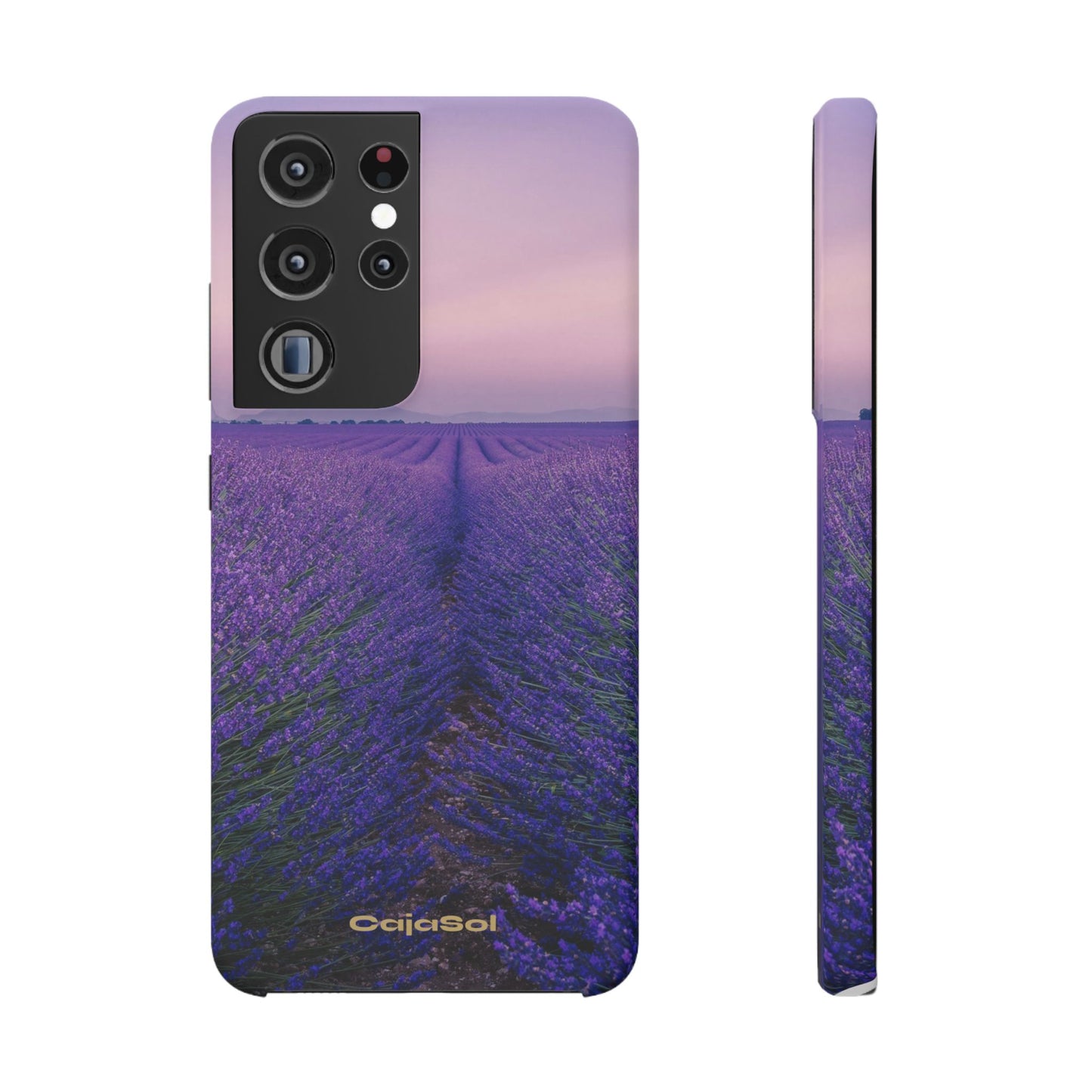 Lavender Fields Cajasol - A Floral Touch for Nature Lovers