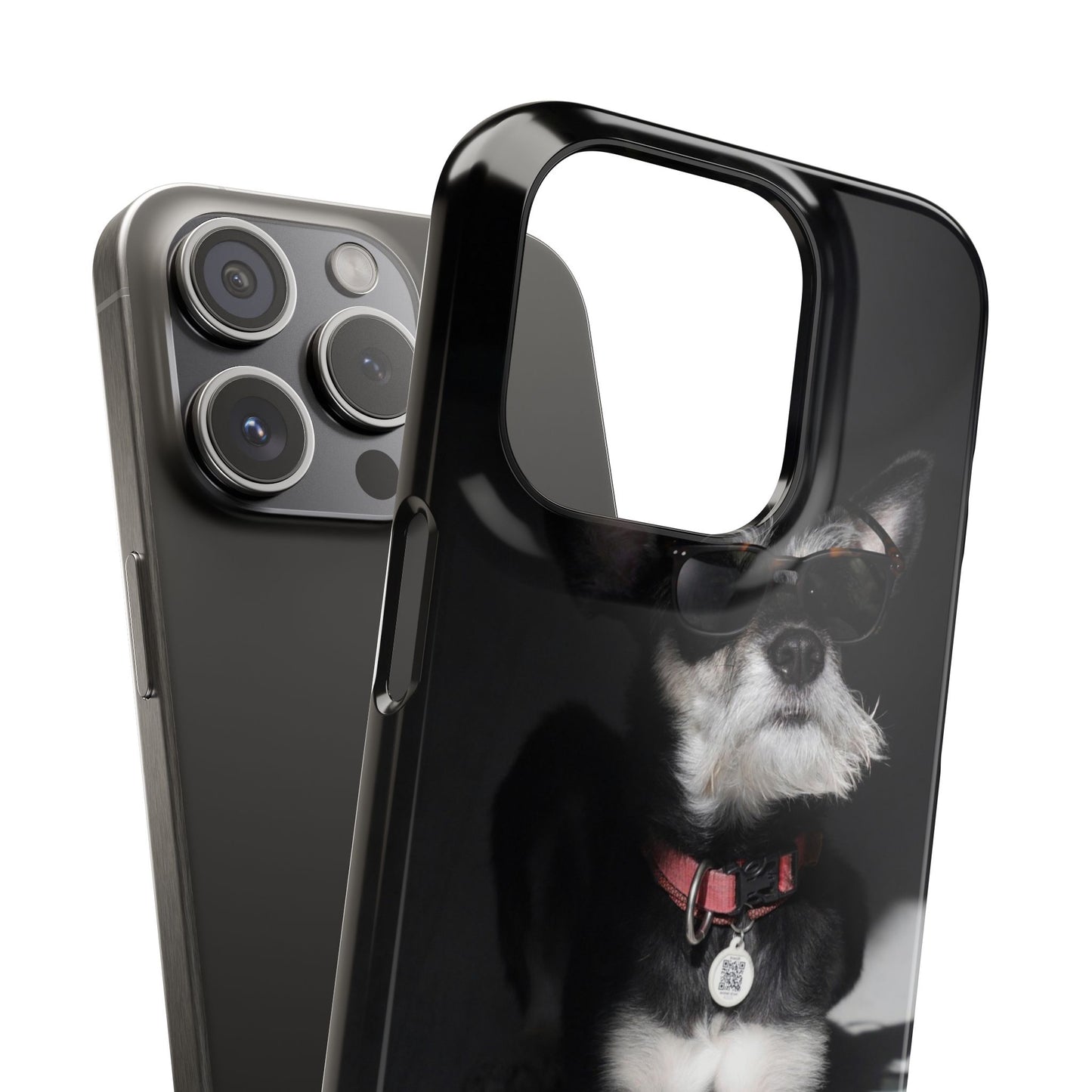 Cool Dog Cajasol - Stylish Pet