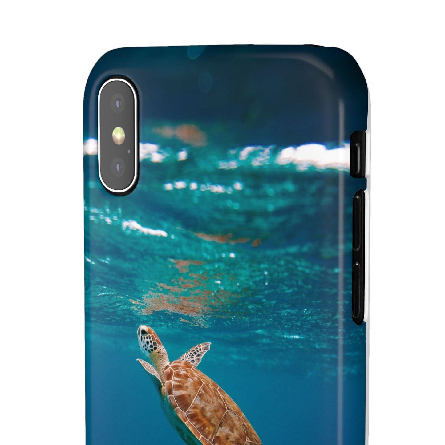 Sea Turtle Cajasol - Perfect for Beach Lovers