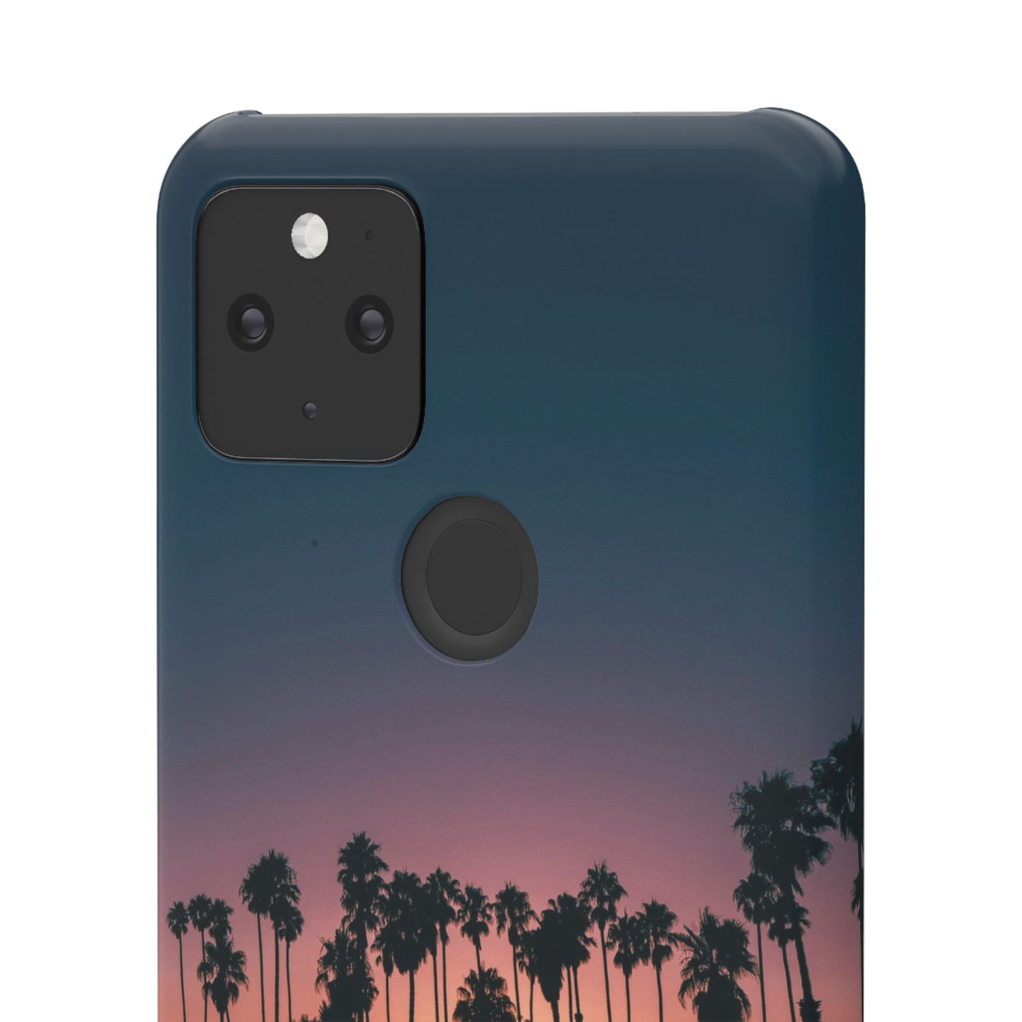 Tropical Sunset Cajasol - Vibrant Palm Tree