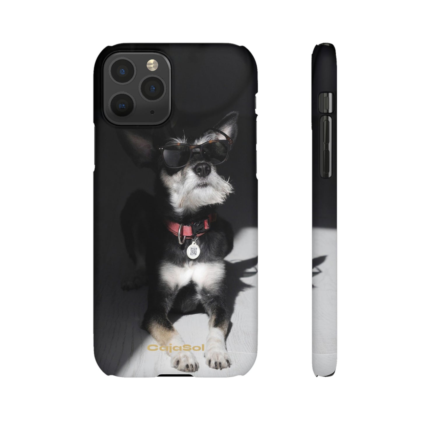 Cool Dog Cajasol - Stylish Pet