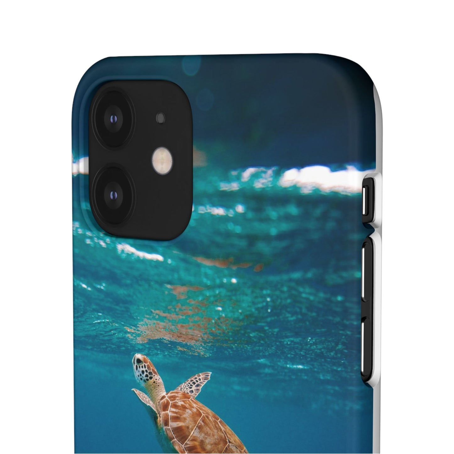 Sea Turtle Cajasol - Perfect for Beach Lovers