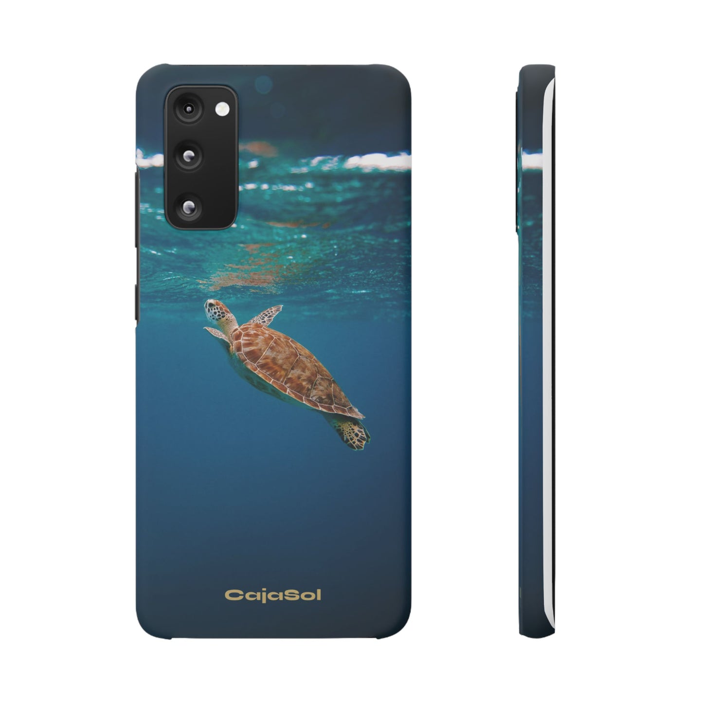 Sea Turtle Cajasol - Perfect for Beach Lovers