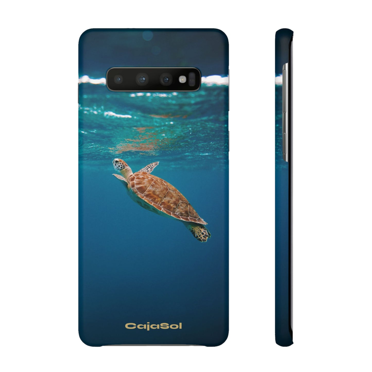 Sea Turtle Cajasol - Perfect for Beach Lovers