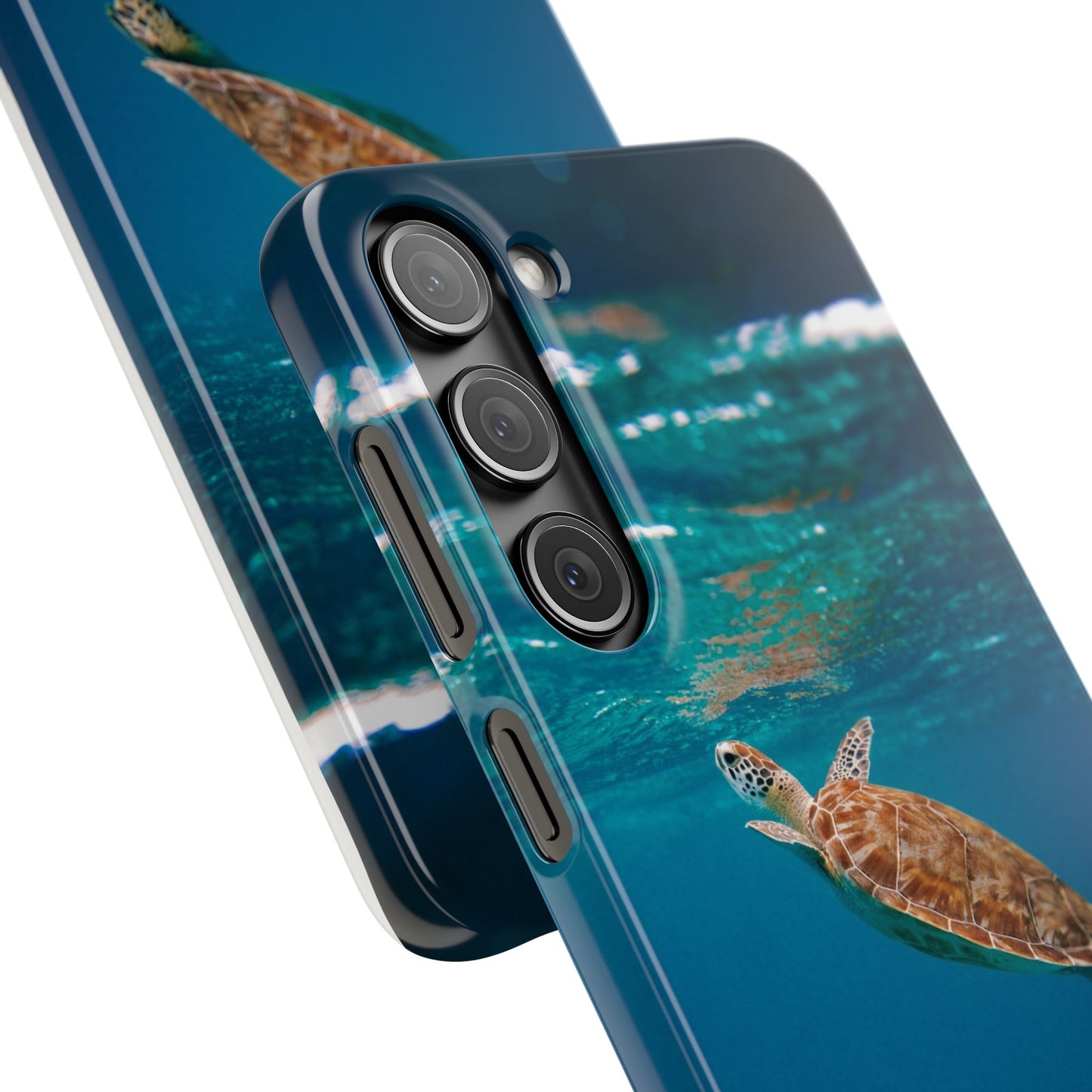 Sea Turtle Cajasol - Perfect for Beach Lovers