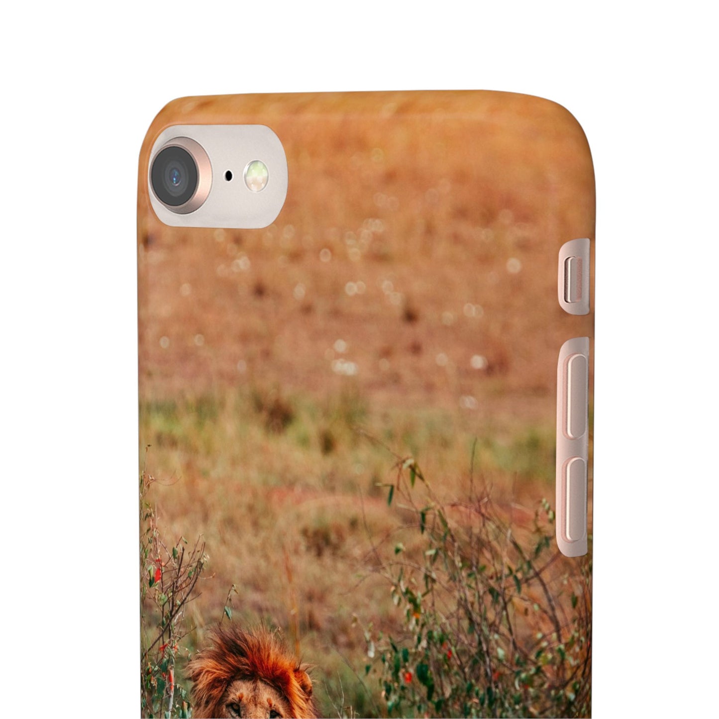 Majestic Lion Cajasol - Nature Inspired
