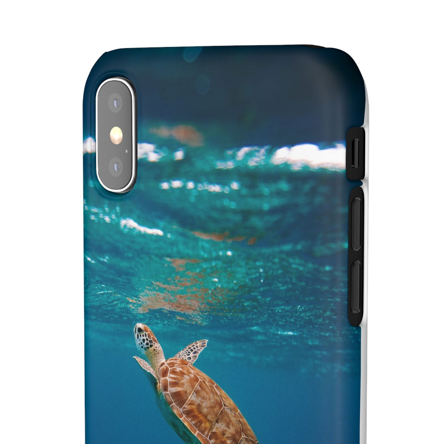 Sea Turtle Cajasol - Perfect for Beach Lovers