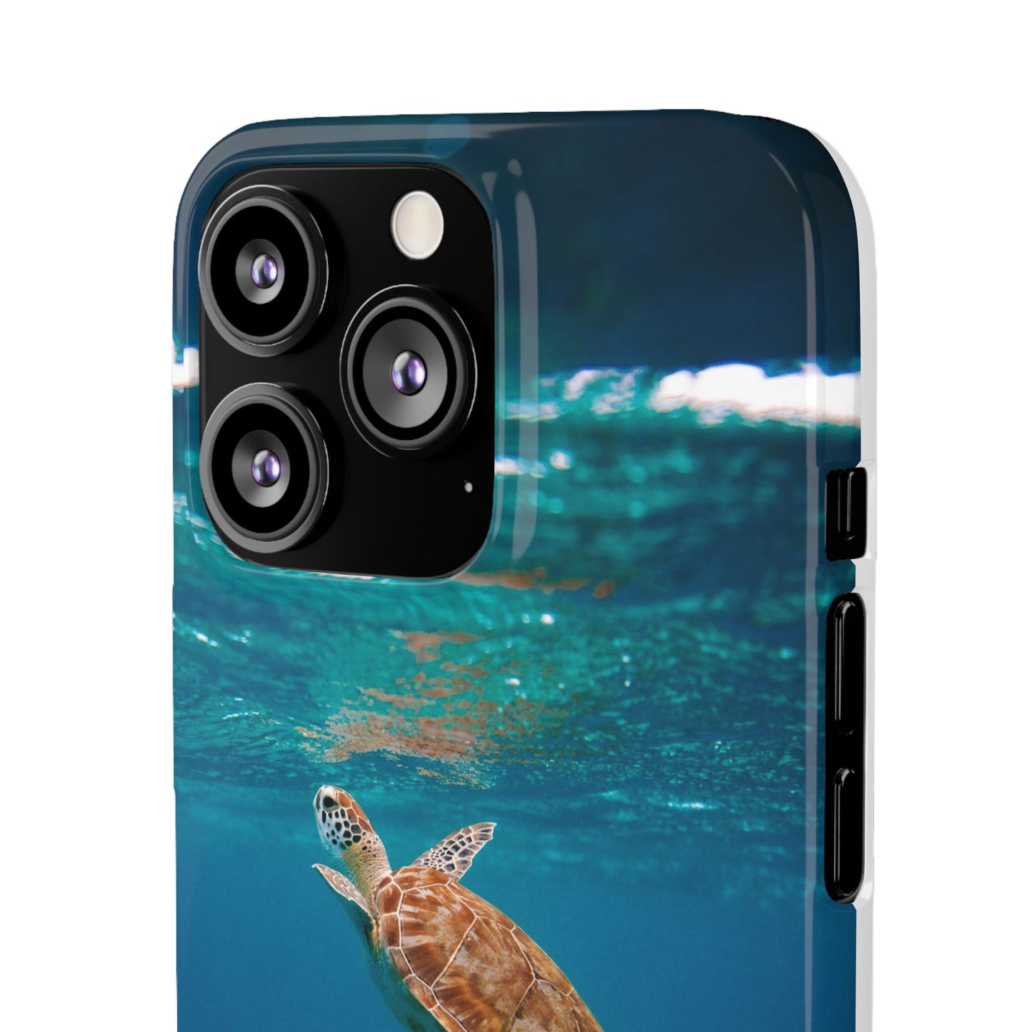 Sea Turtle Cajasol - Perfect for Beach Lovers