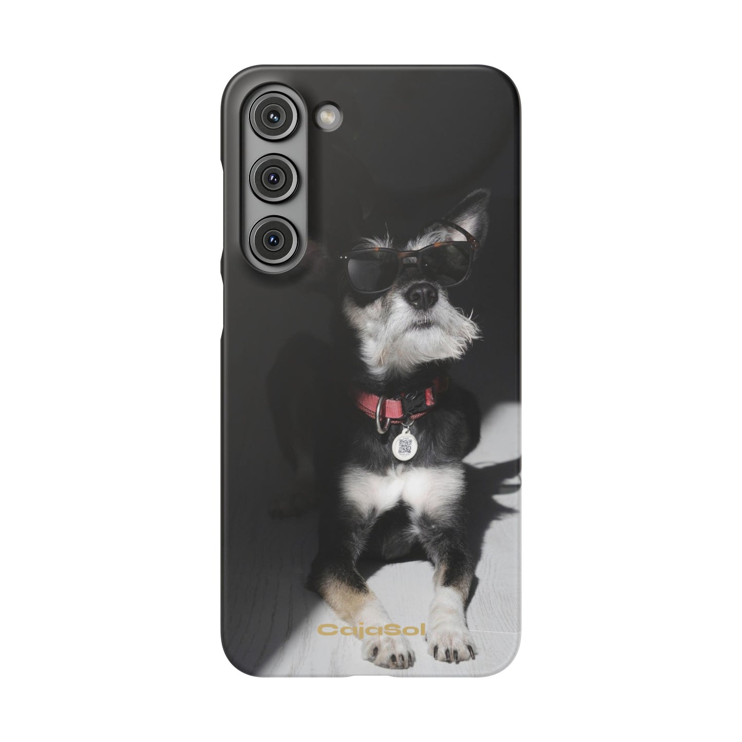 Cool Dog Cajasol - Stylish Pet