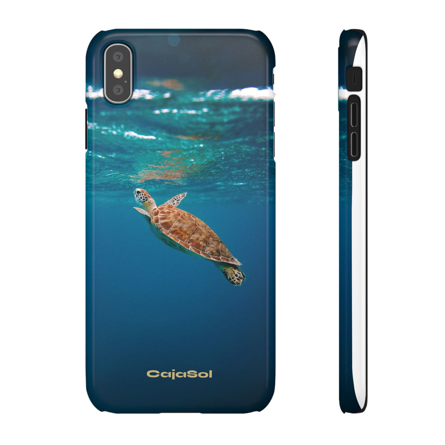 Sea Turtle Cajasol - Perfect for Beach Lovers