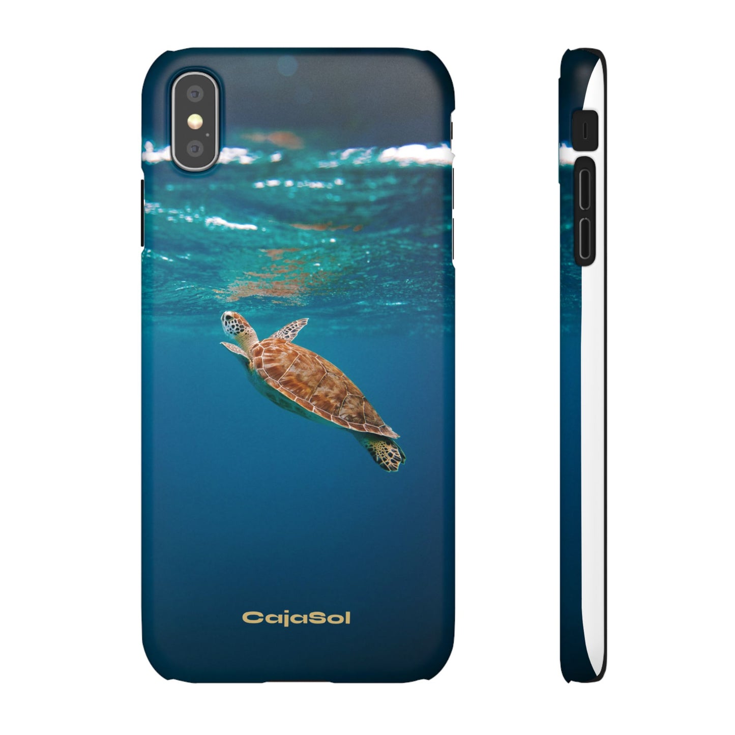 Sea Turtle Cajasol - Perfect for Beach Lovers