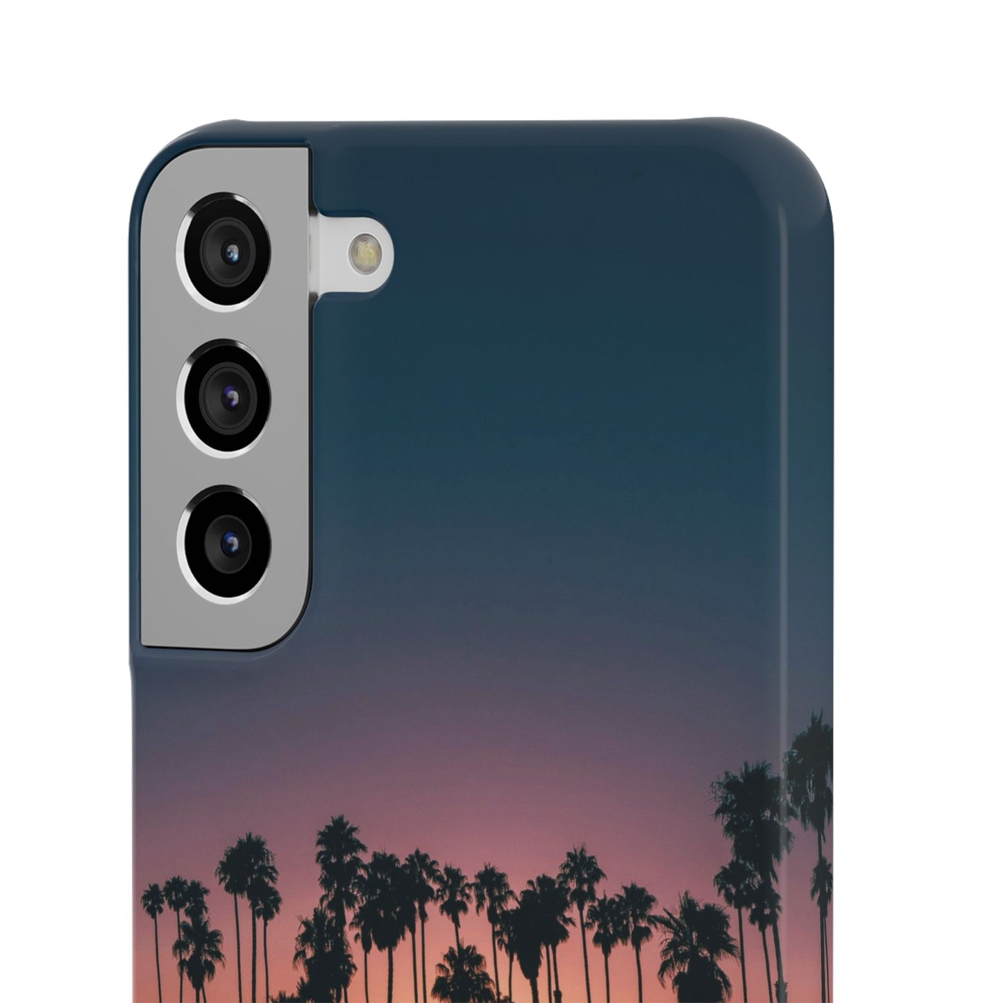 Tropical Sunset Cajasol - Vibrant Palm Tree