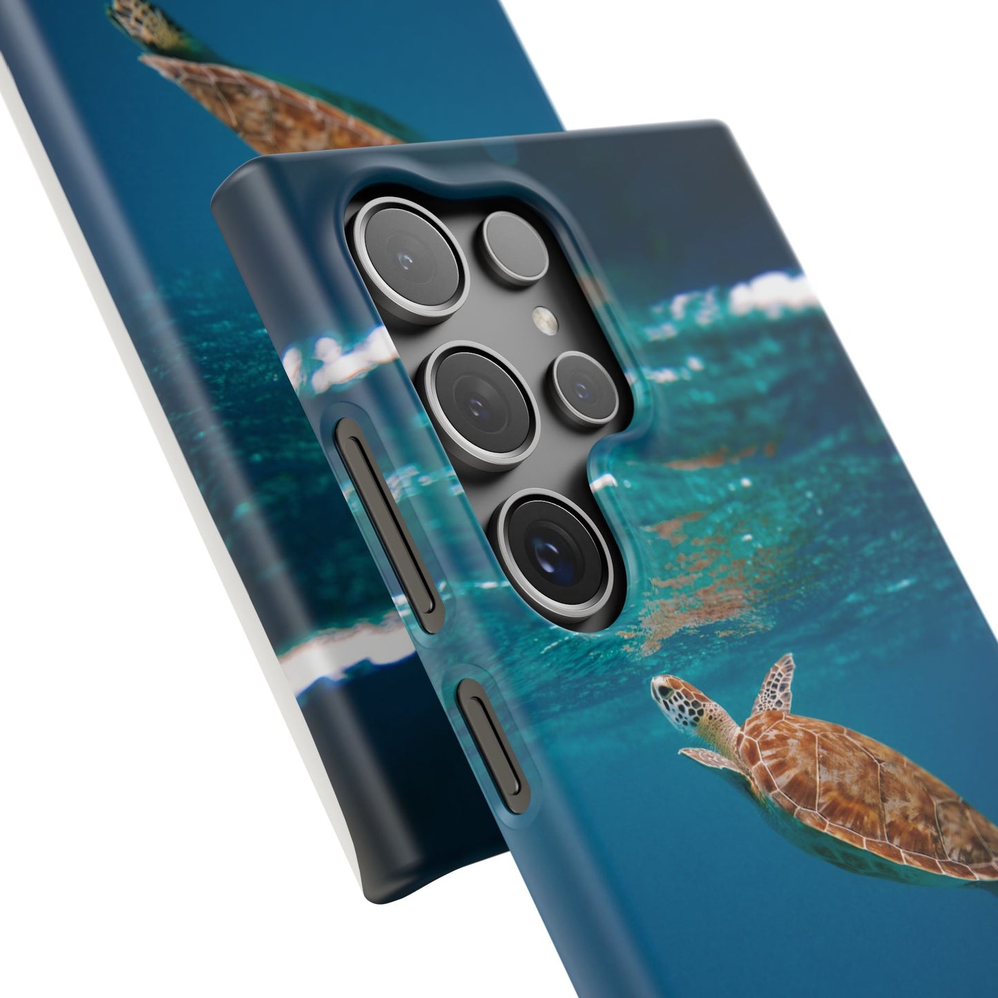 Sea Turtle Cajasol - Perfect for Beach Lovers